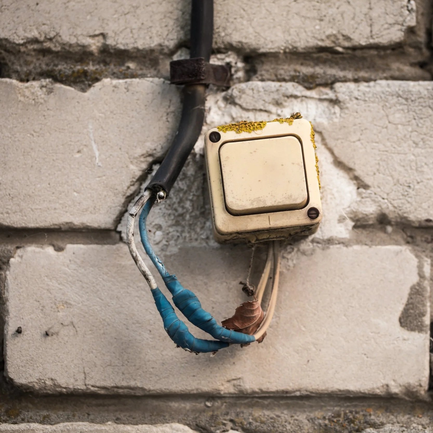 Rodent Electrical Fire How Rodents Damage Electrical Wiring (And How To Prevent It)