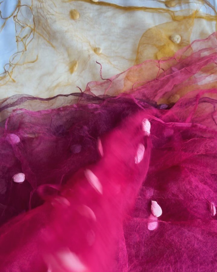 An ocean of natural dyed silk scarves with cotton bobbles, now washed and drying, which means one step closer to wearing! I&rsquo;ll be sharing more details about the source and history of these dyes in upcoming posts.

Subscribe to my email list to 