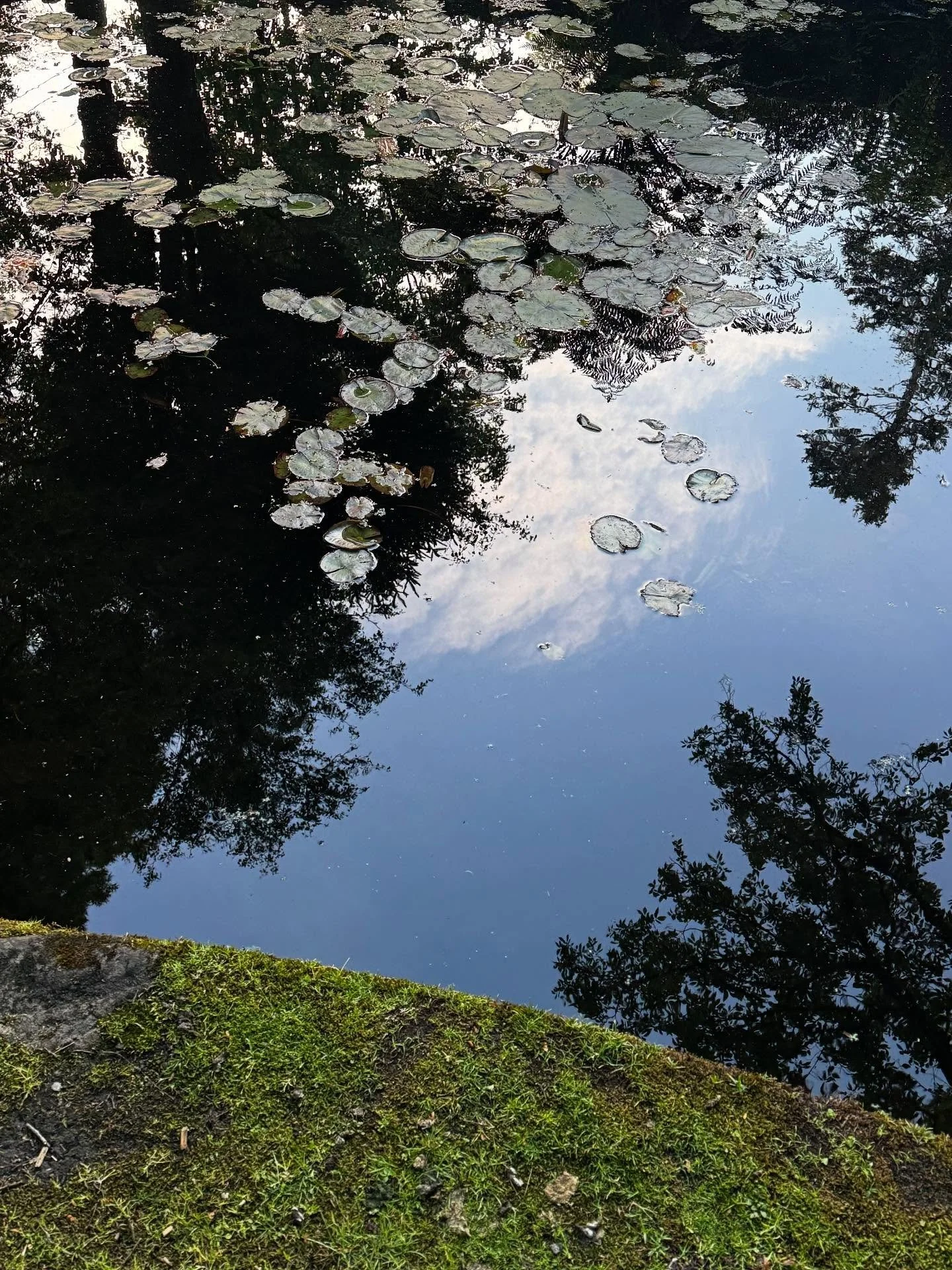 ~
Moments from the mountains
#bluemountains