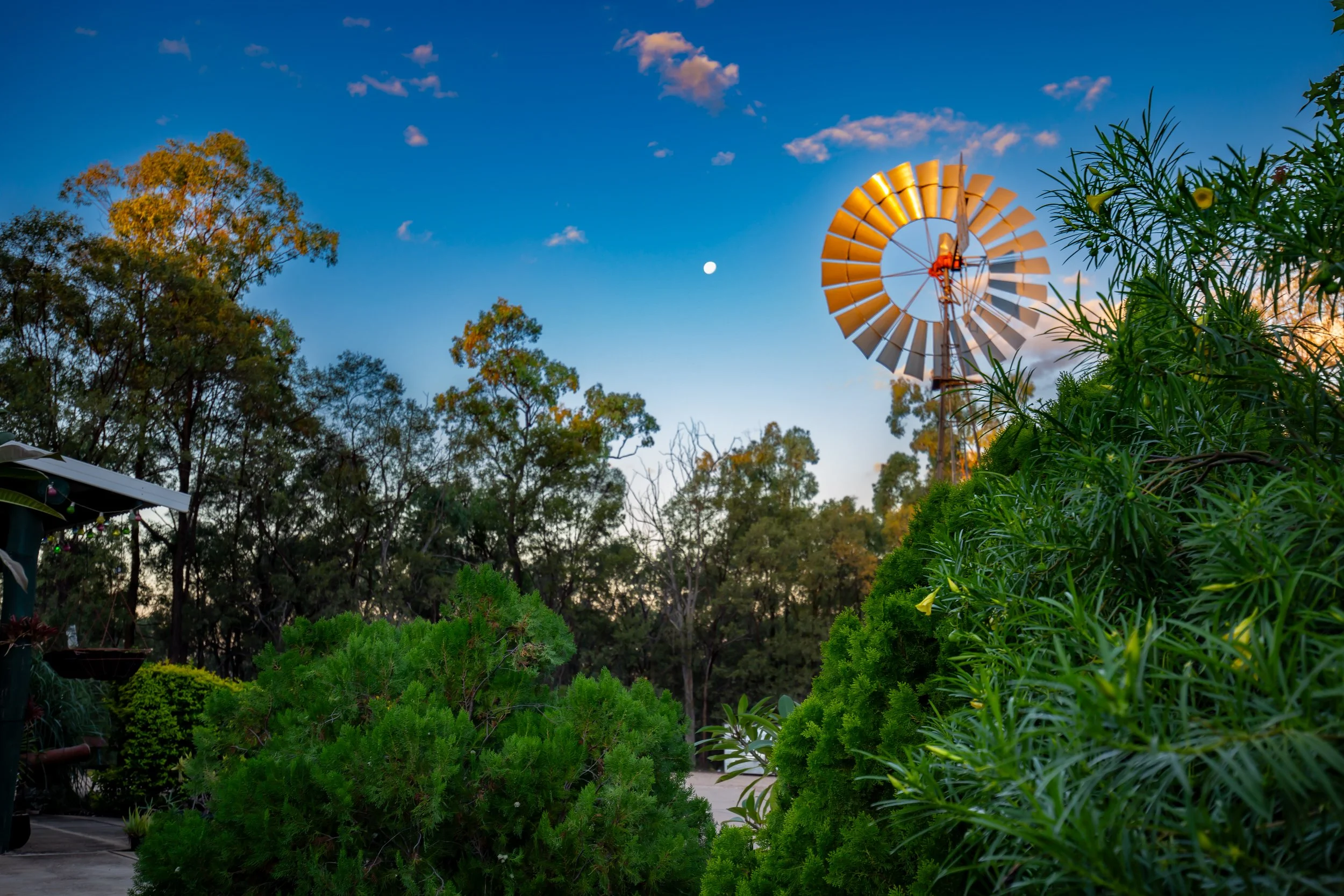 Sapphire Caravan Park-Windmill_.jpg