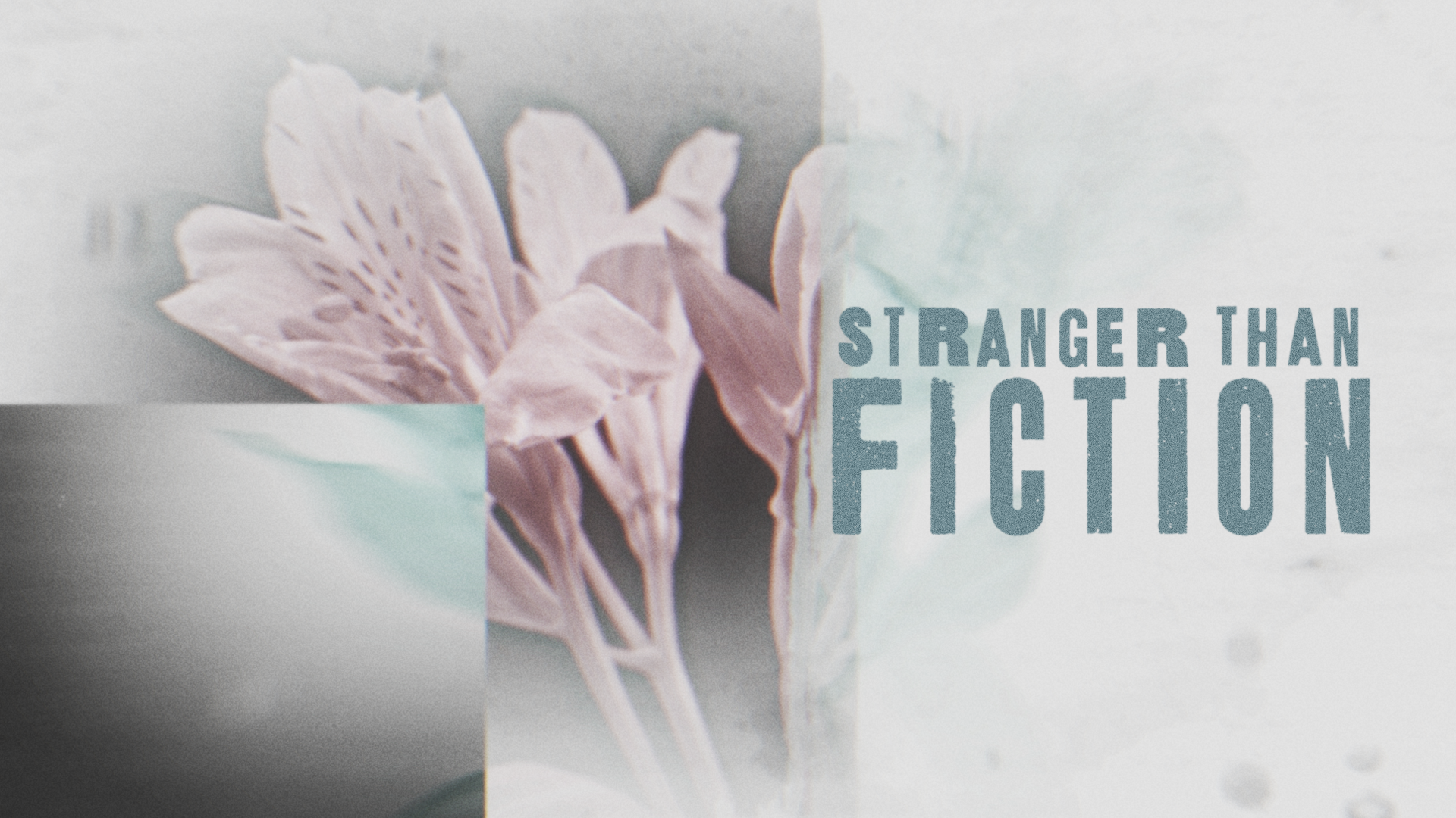 STRANGER THAN FICTION - Week 1