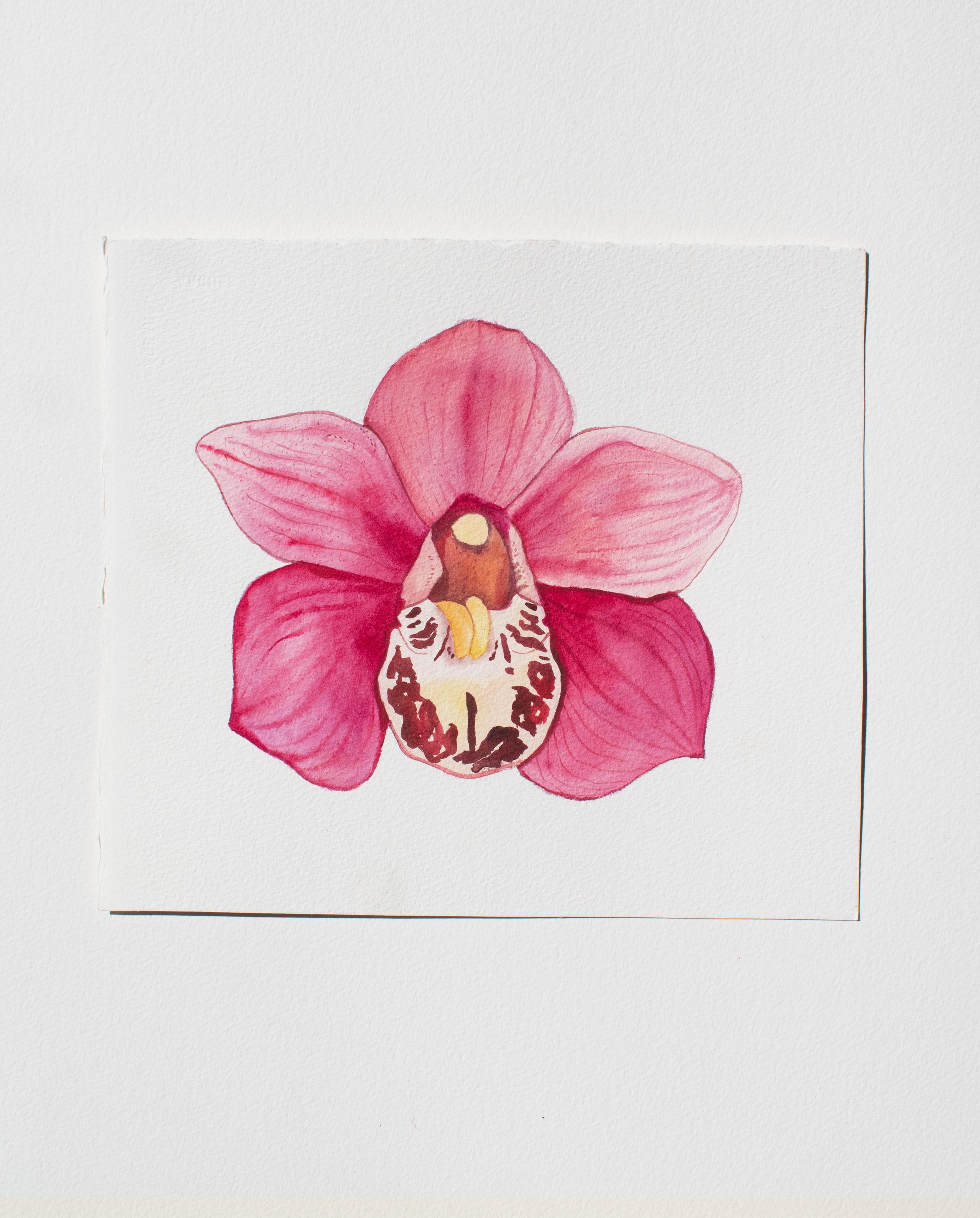 orchid.png