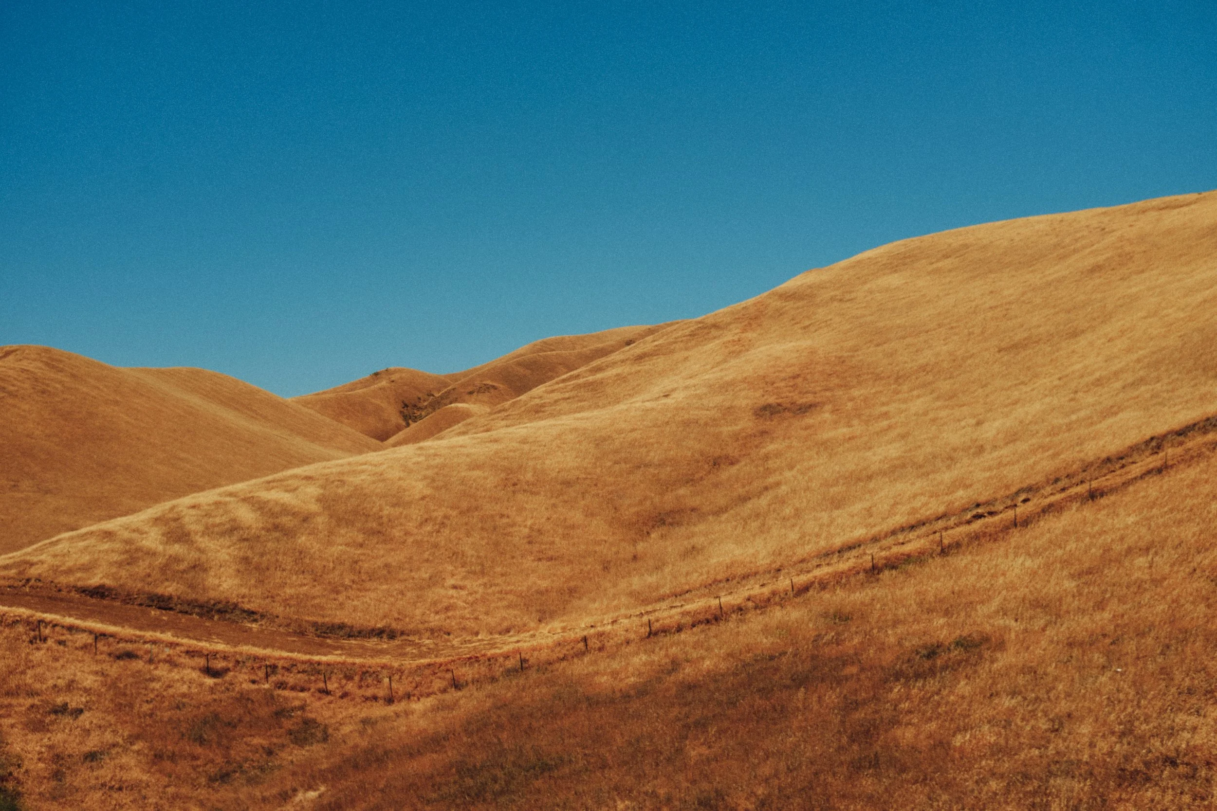 May_021.jpg