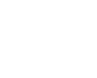 ERNIE BALL.png