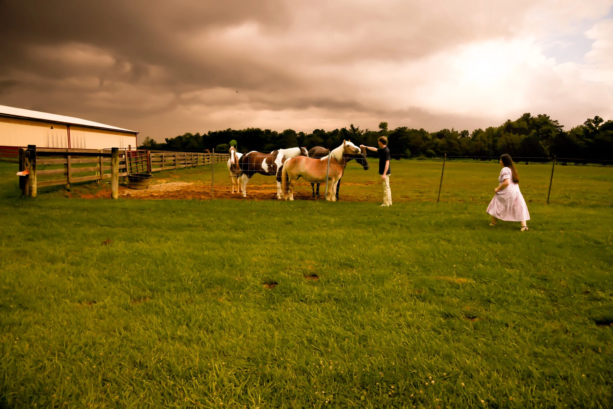 A person petting a horse in a grassy field with a barn and trees in the background, cloudy sky overhead.