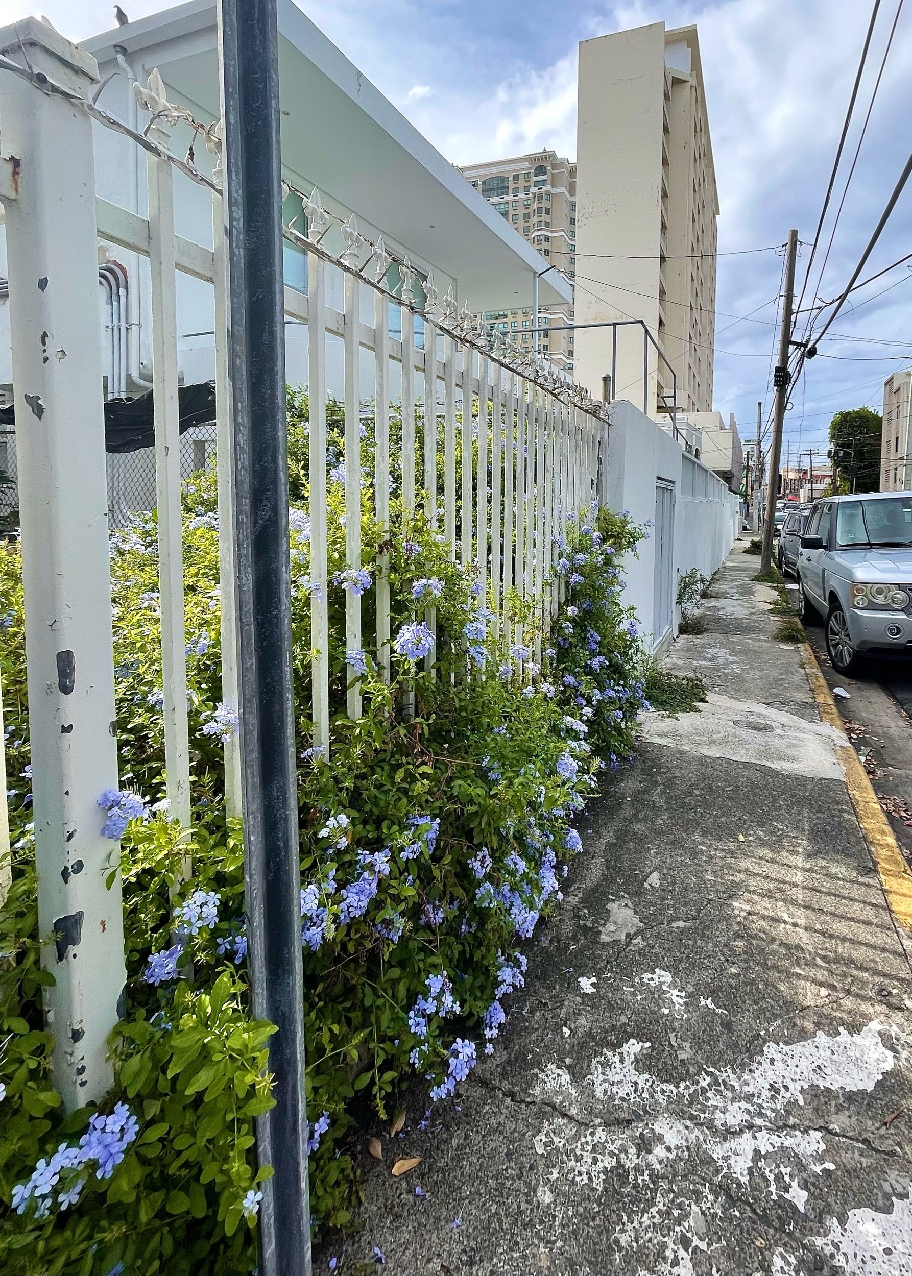 IMG_0620.jpeg