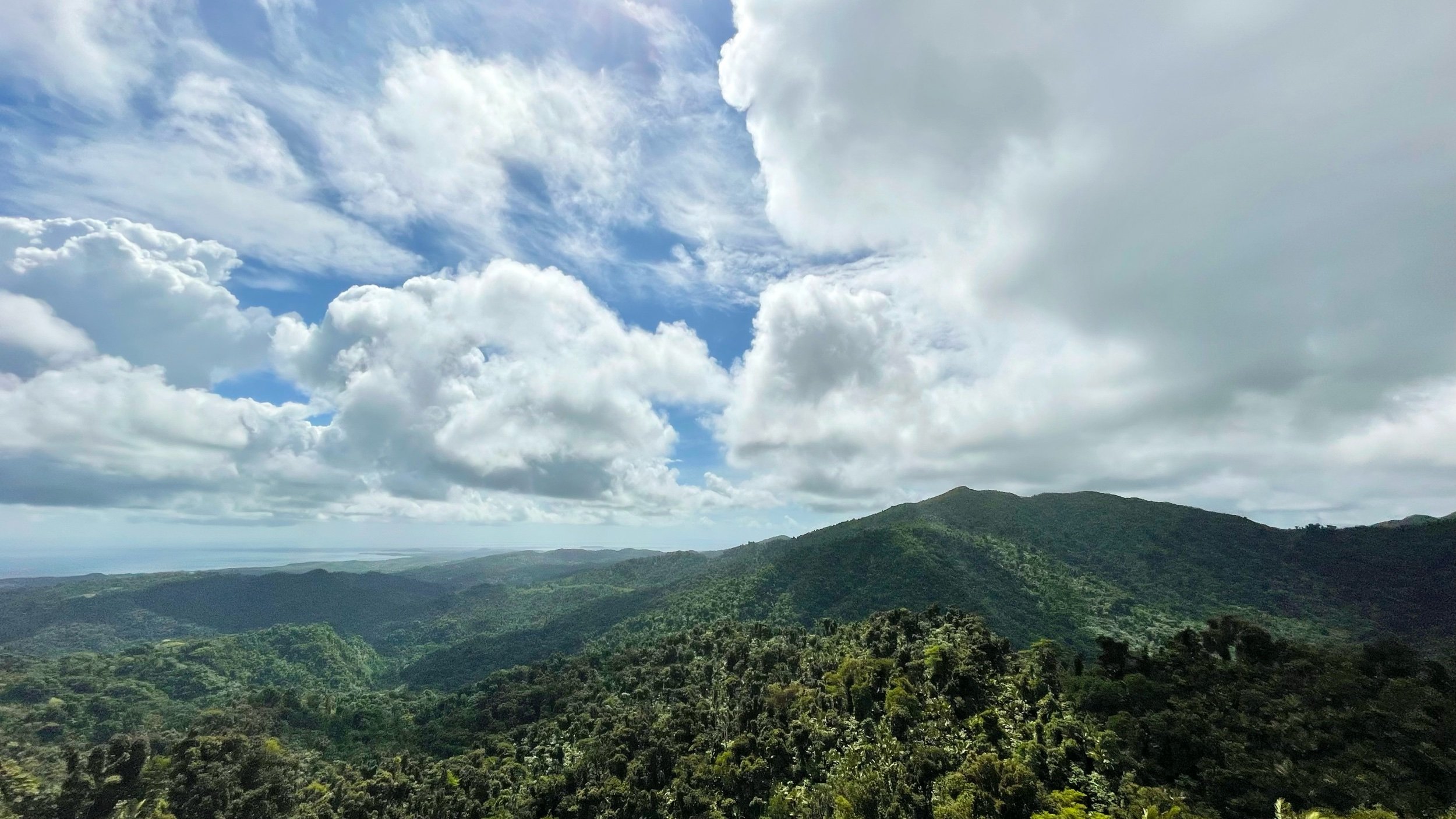 view from Yokahu Tower, Puerto Rico