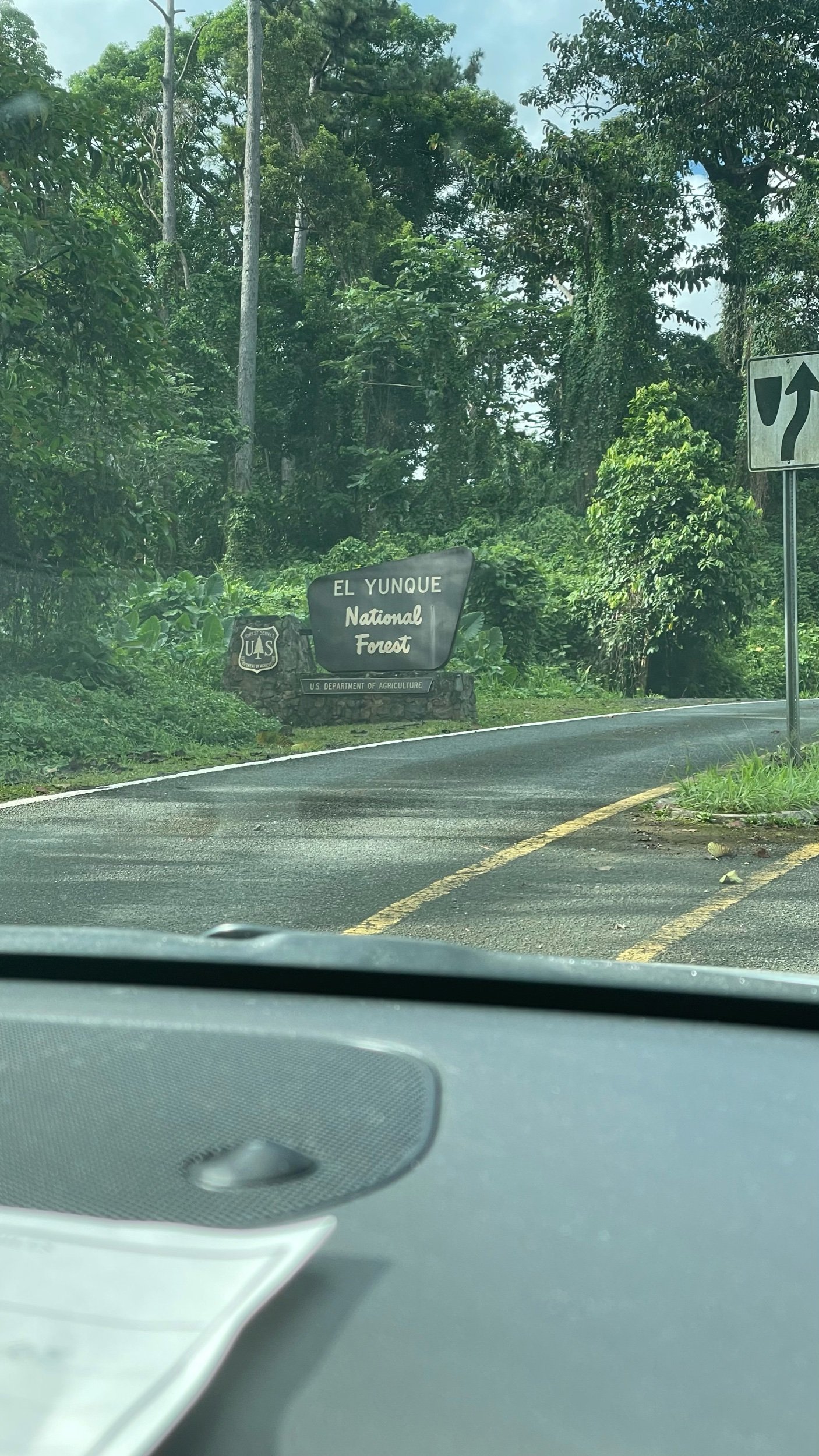 El Yunque National Rainforest, Puerto Rico