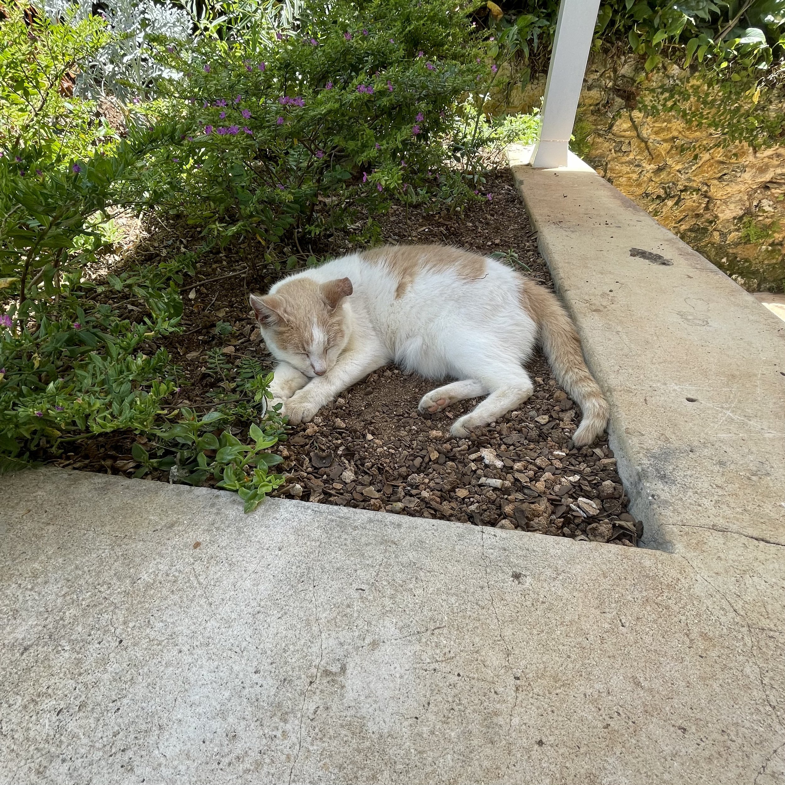 IMG_1613_00.jpeg