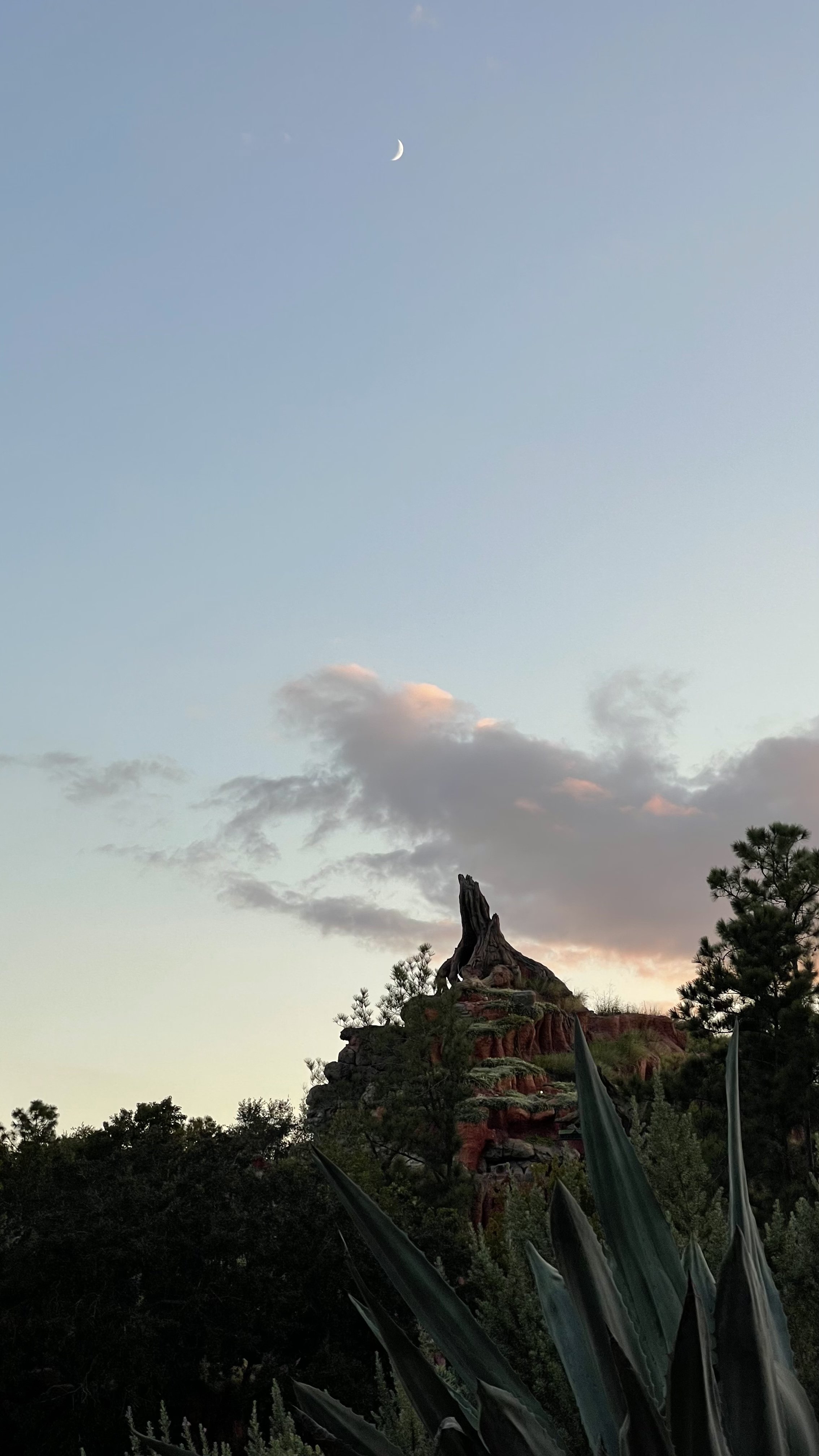 Magic Kingdom. Disney World. Orlando, FL.
