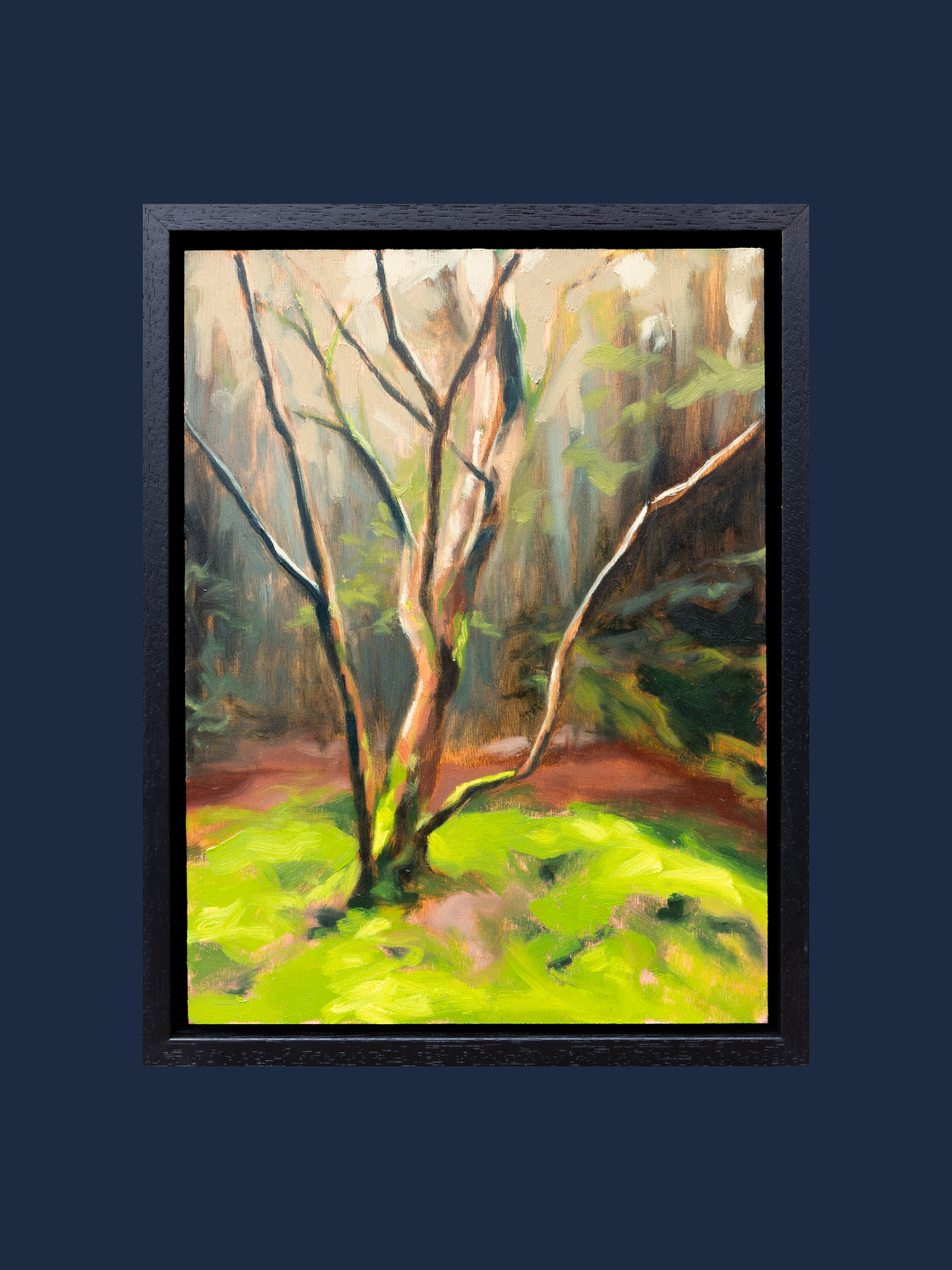 'The Lost Tree'