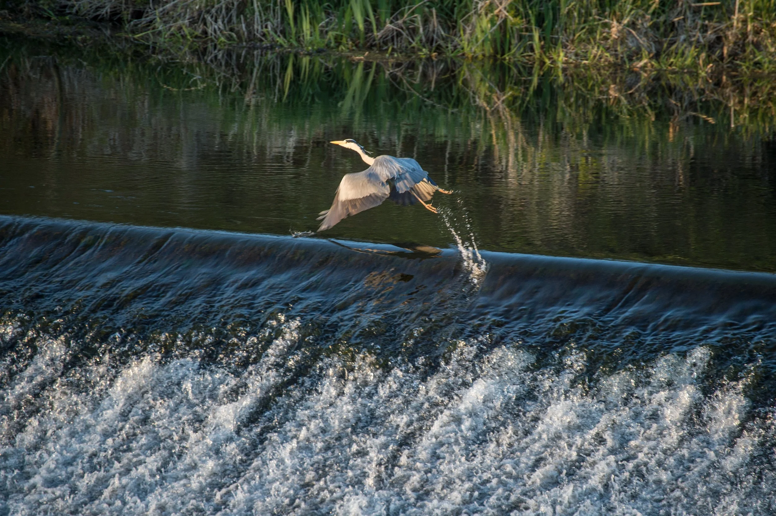 Boyne Rivers Trust