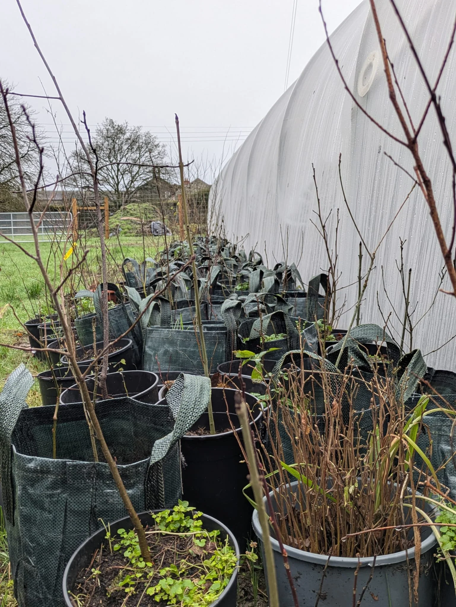 WhatsApp Image 2026-02-17 at 11.30.09 (1).jpeg