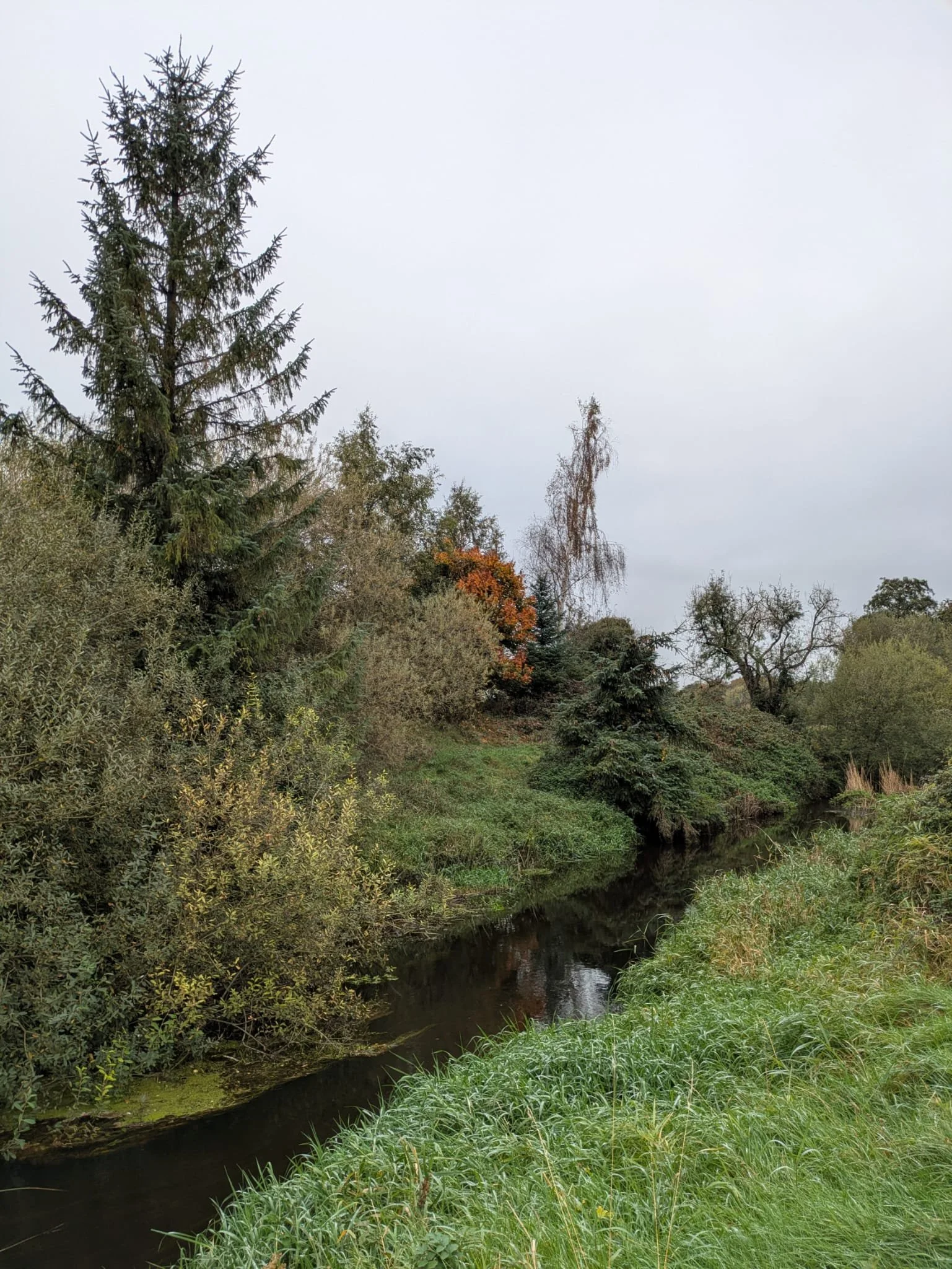 River restored for salmon spawning.