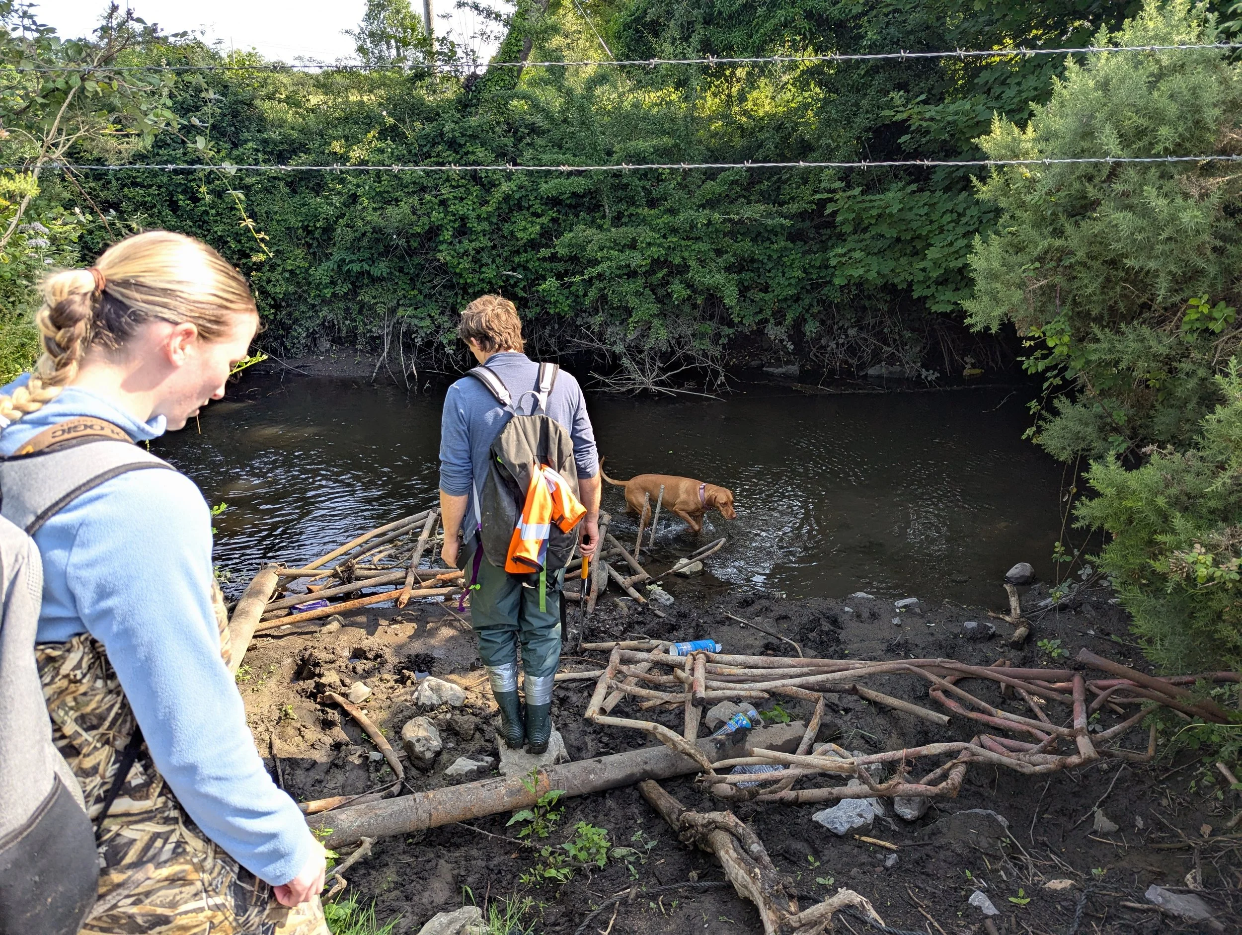 Ian river access dumping 2.jpg