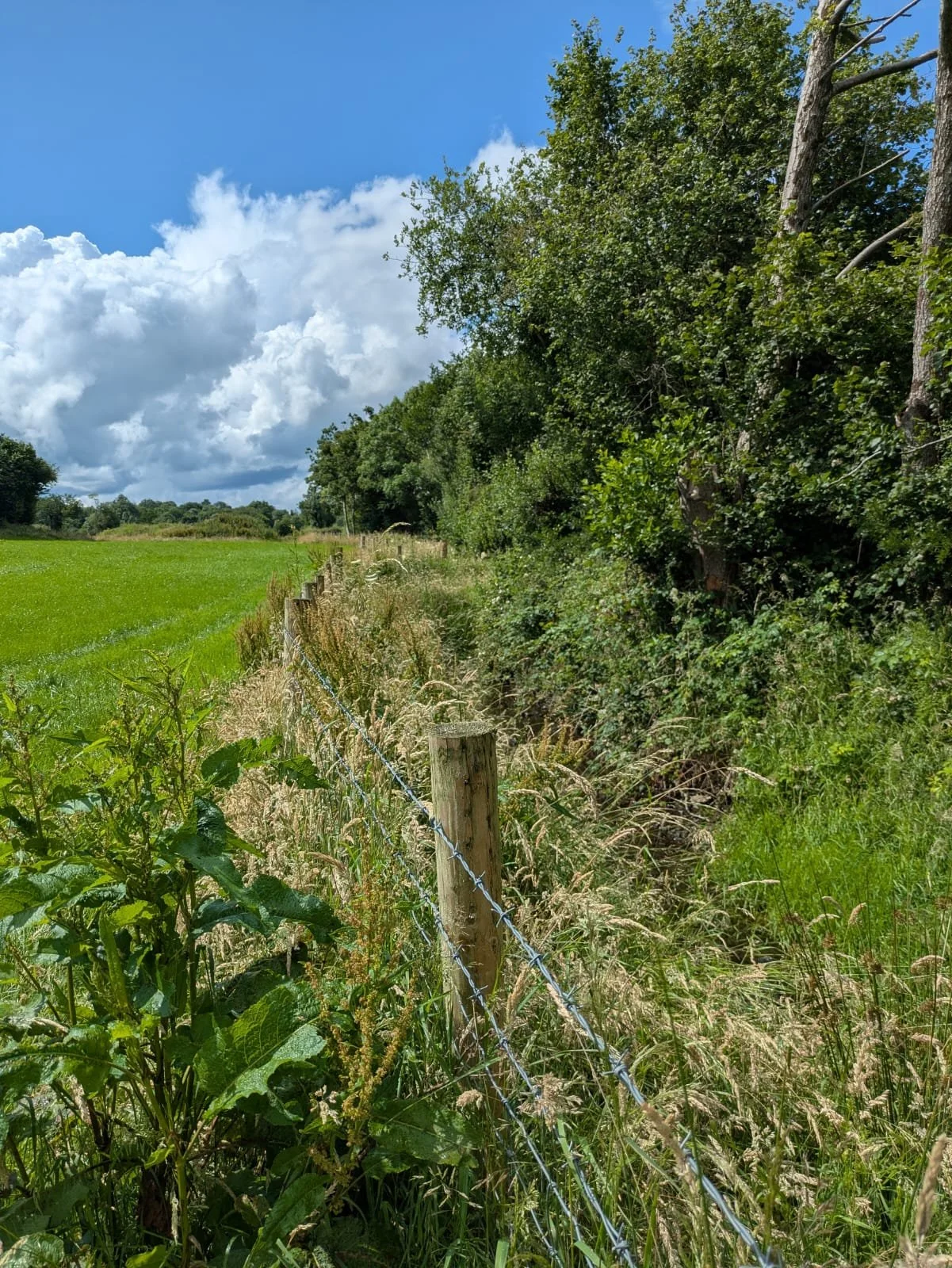 Watercourse fencing, preventing livestock from accessing the river.