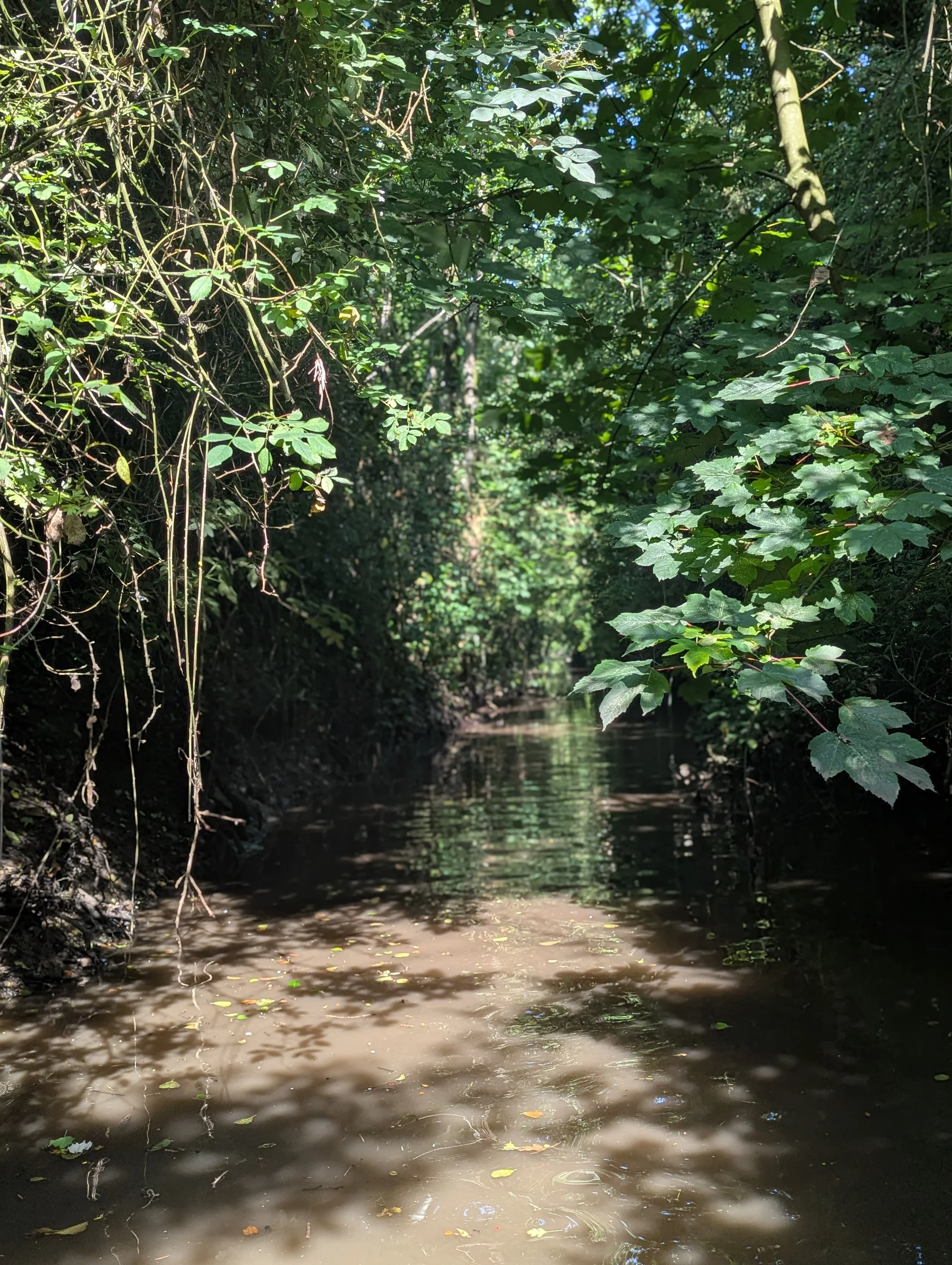 River channel 1.jpg