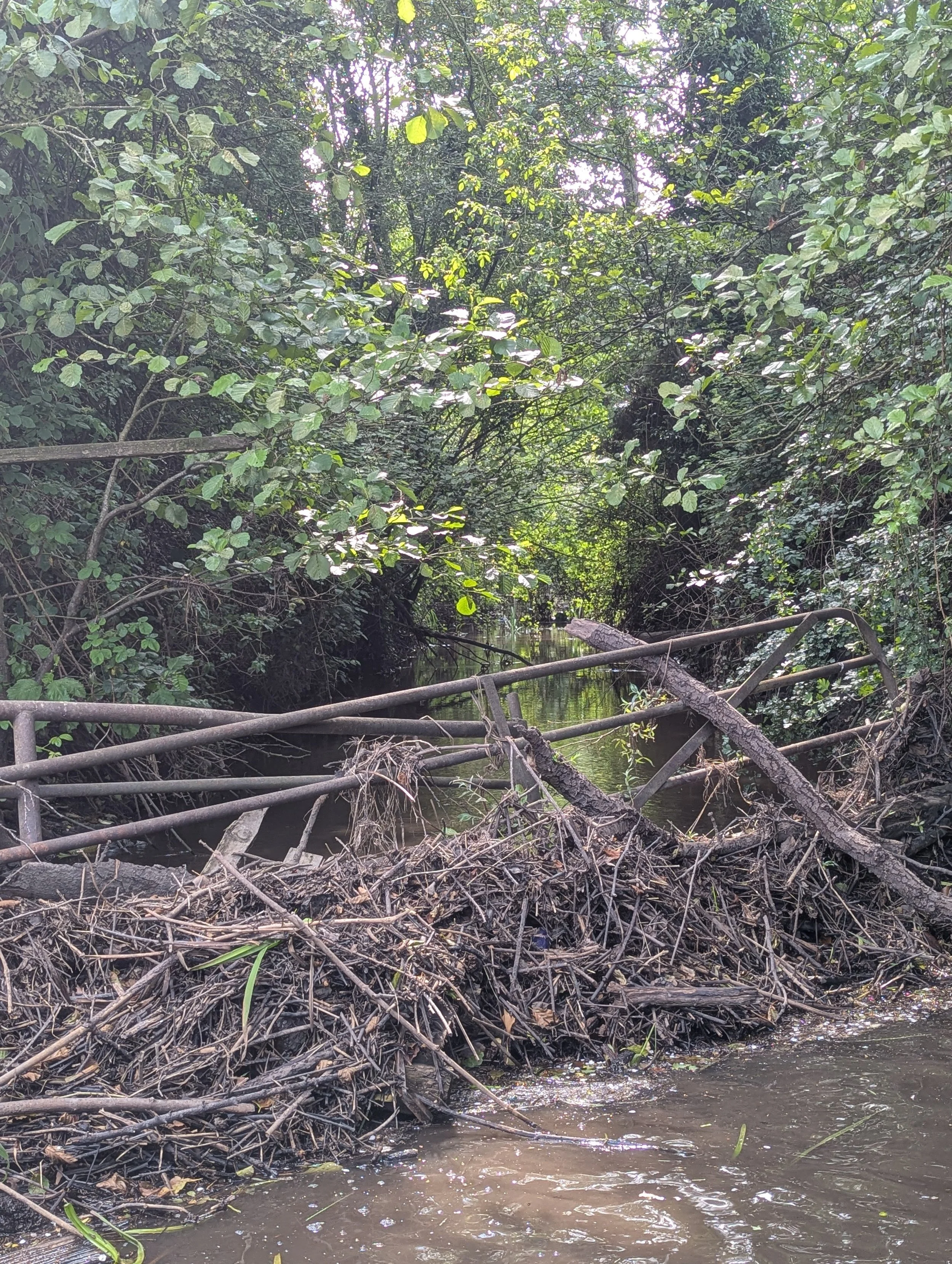 Farm gates river 1.jpg