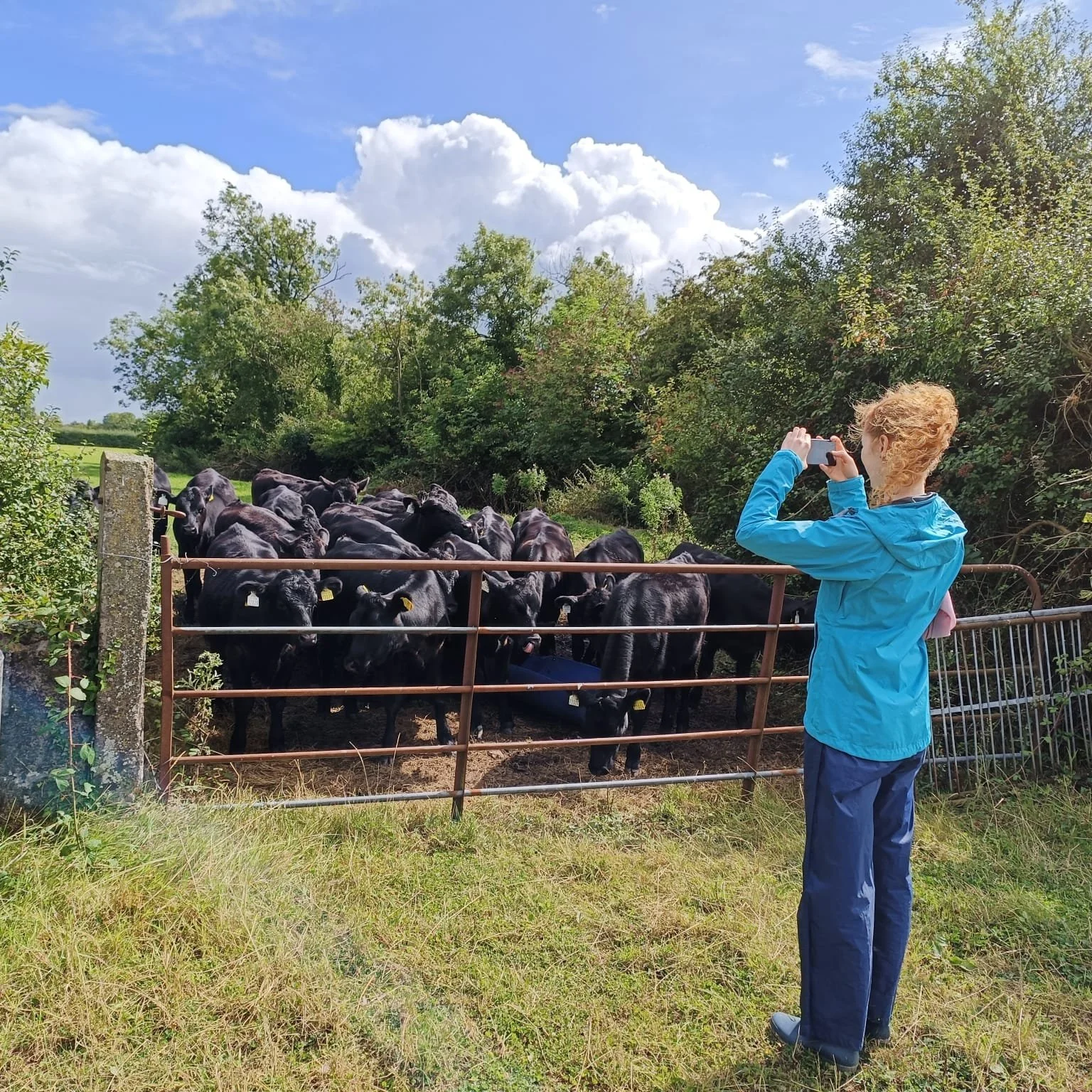 Our Farm Advisor, Sarah, surveying a farm.