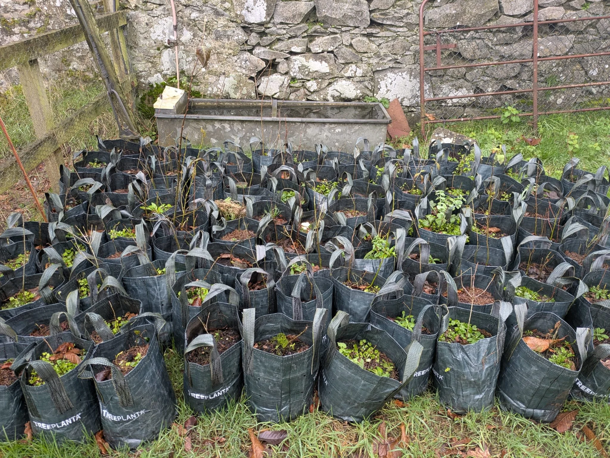 WhatsApp Image 2026-02-17 at 11.30.09.jpeg