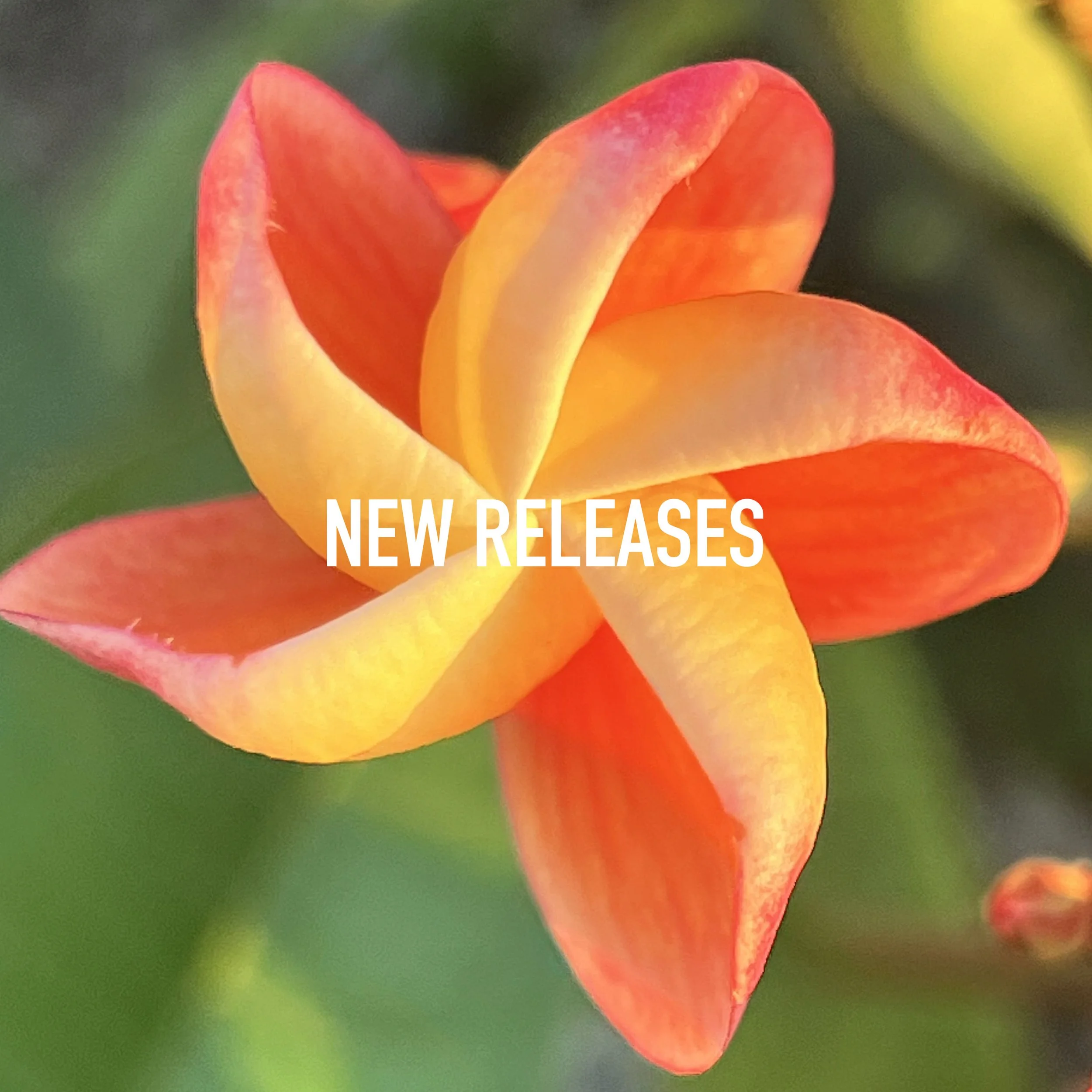 New Releases
