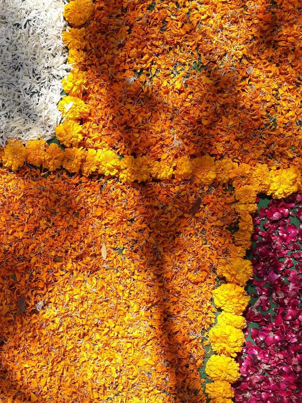 Fleurs et aromathérapie