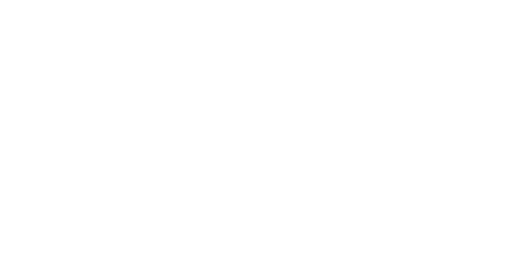 ELSA Ukraine