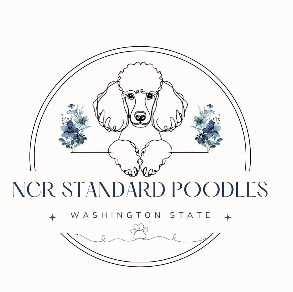 Logo for NCR Standard Poodles featuring a line drawing of a poodle's face and paws, with blue flowers on either side and text indicating the business is based in Washington State.