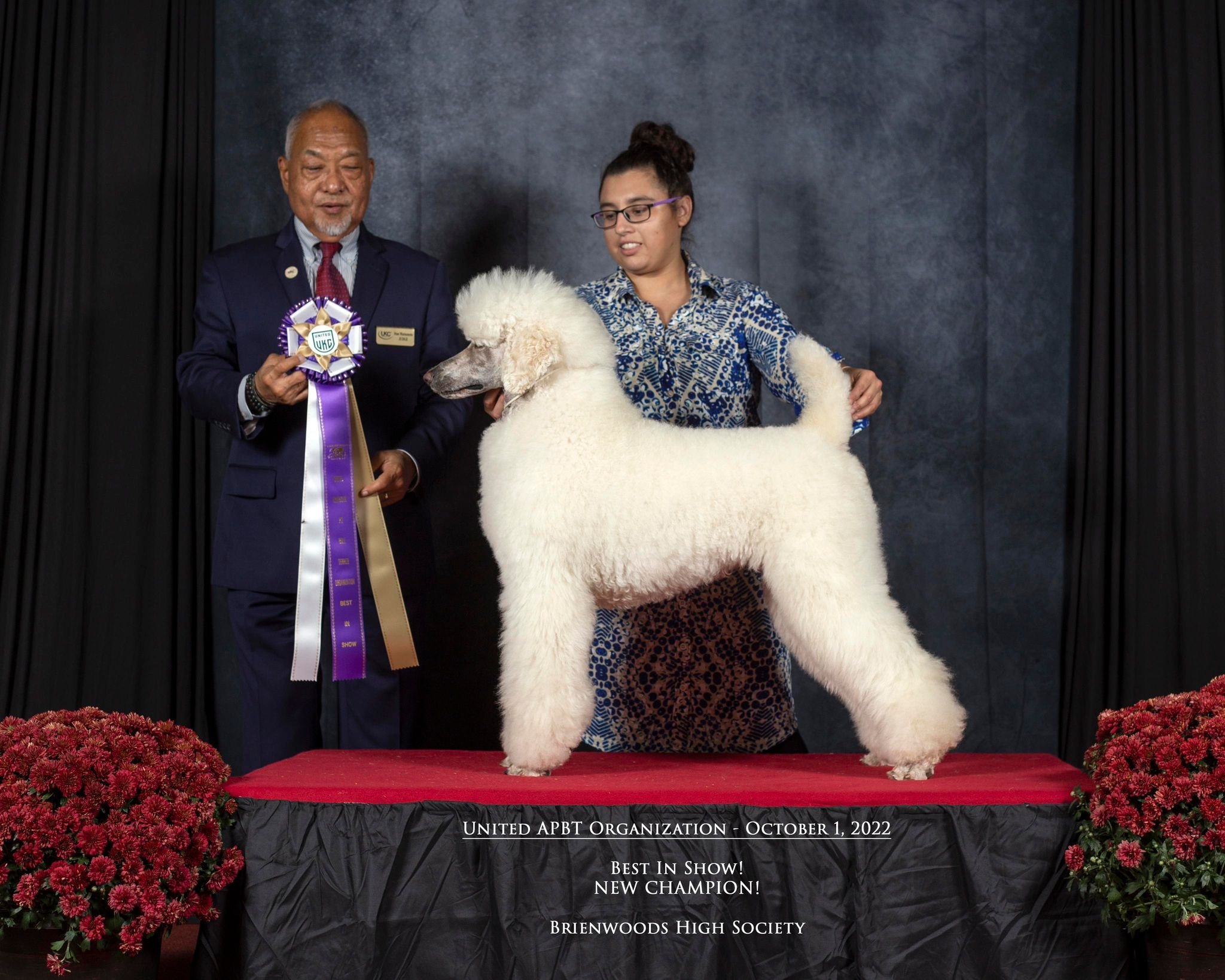 best in show.jpg