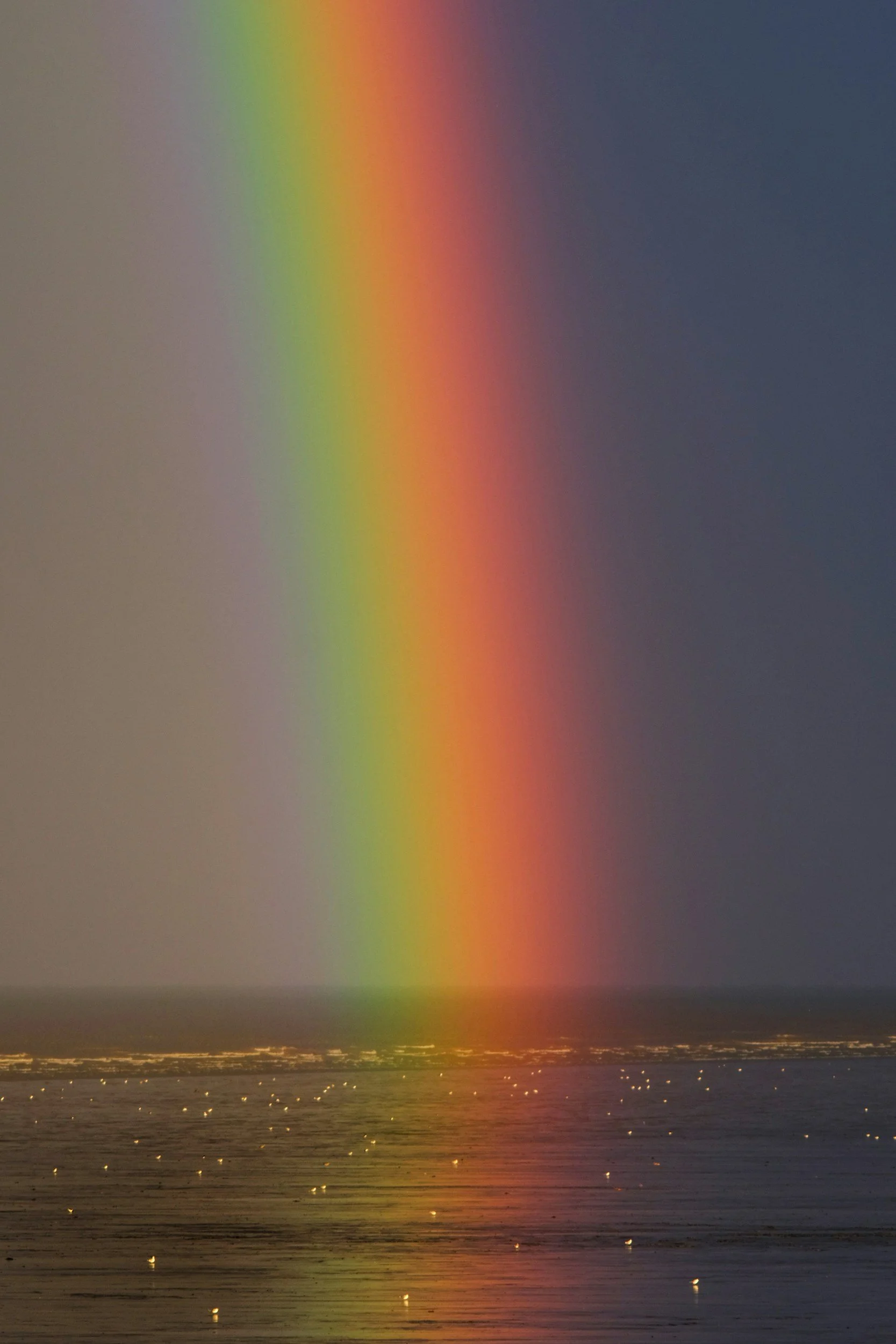 Thoughts on the Rainbow Month