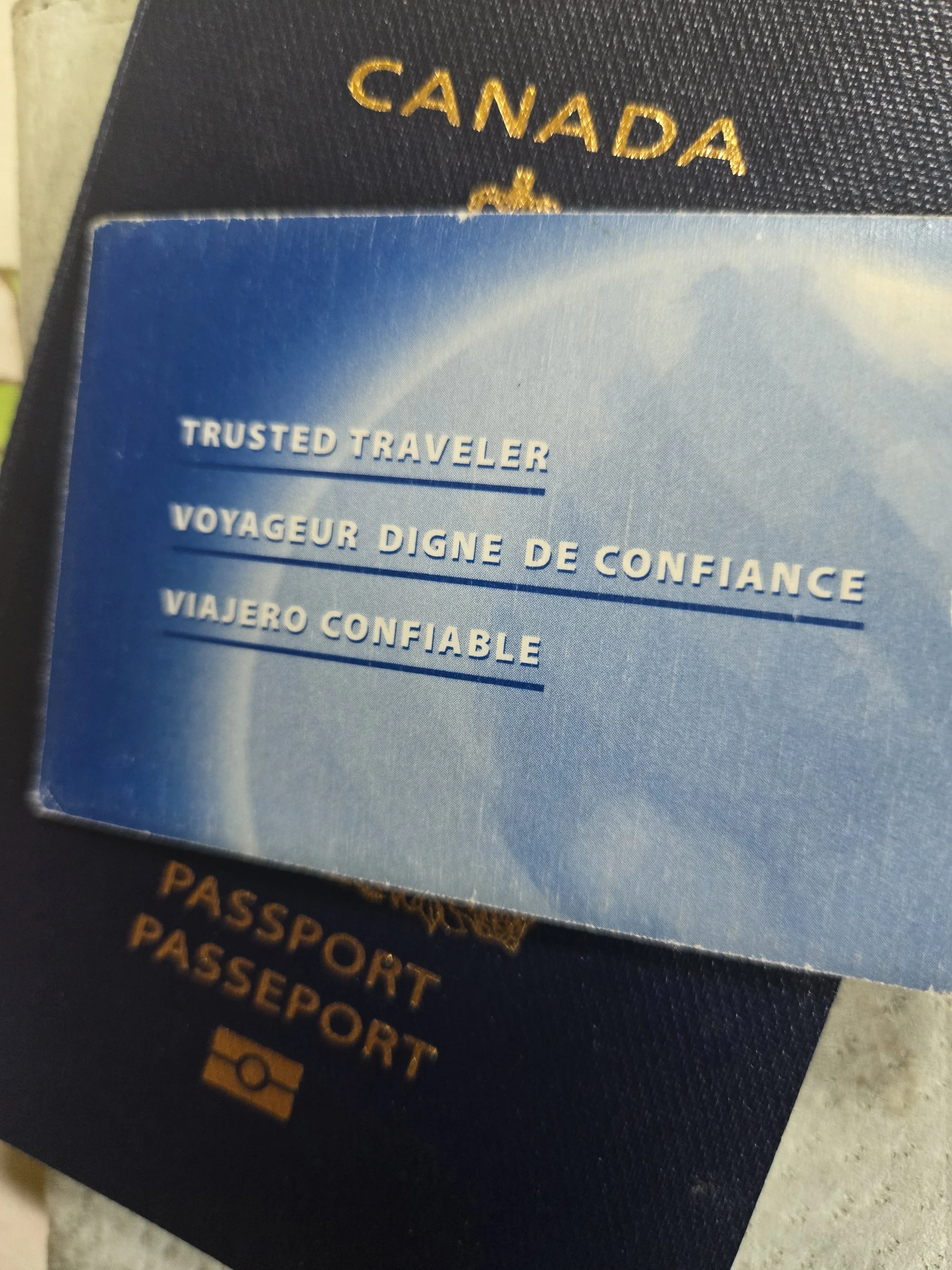 An Accidental Tourist