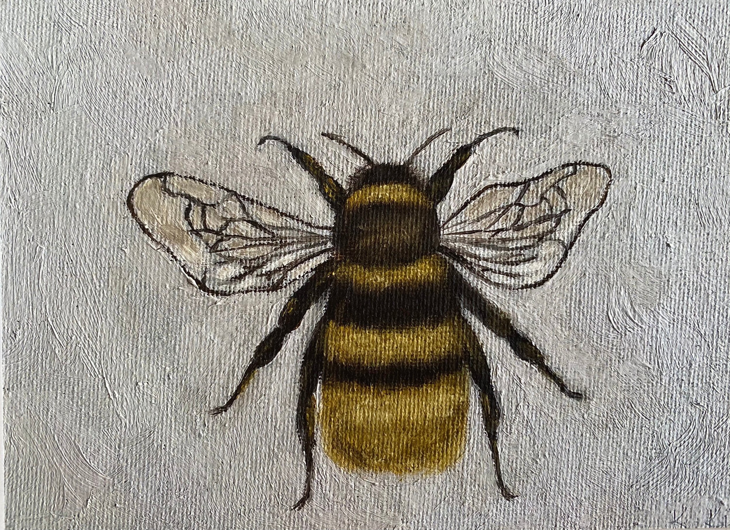 https://i.etsystatic.com/16622471/r/il/3bbd18/3029367269/il_fullxfull.3029367269_b9ck.jpg