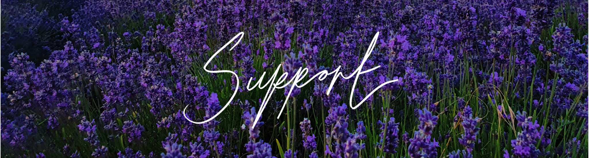 Untitled design (6).png