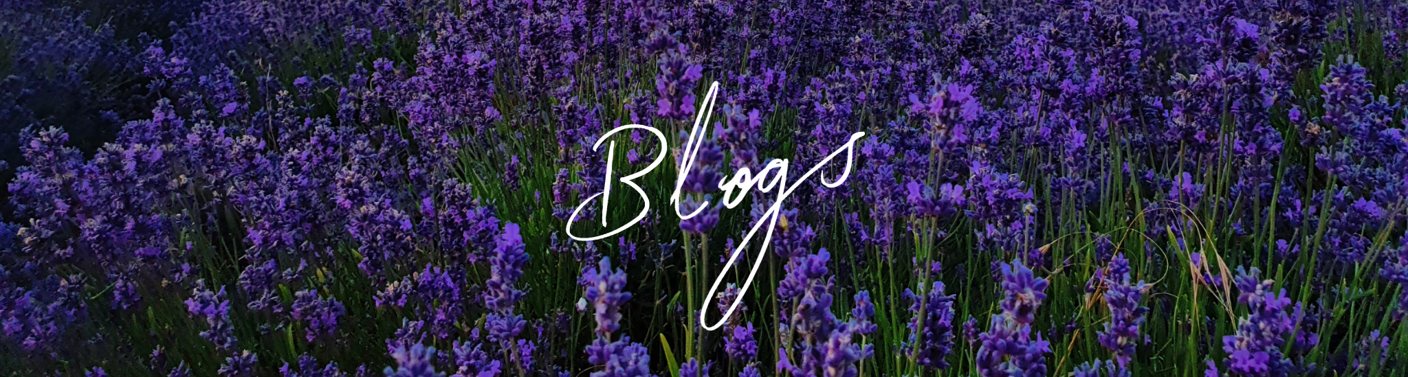 Blogs.png