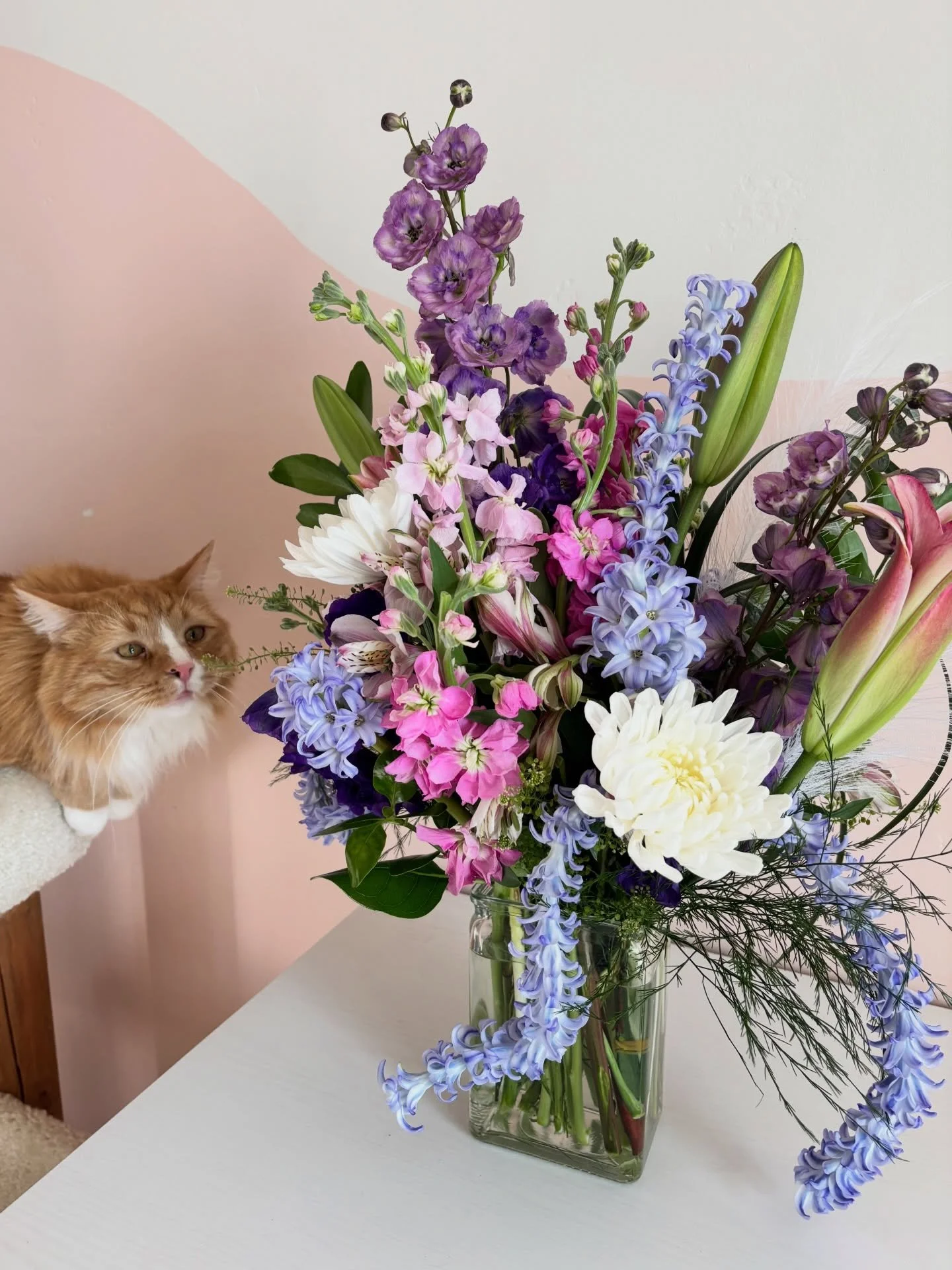 Our very sweet assistant Ravioli quality checking this order. He works hard so you all can have the prettiest flowers. 💐 🥹 (Edit: Reminder that Lilies are SUPER dangerous for cats!! Keep them out of reach of your little friends!)