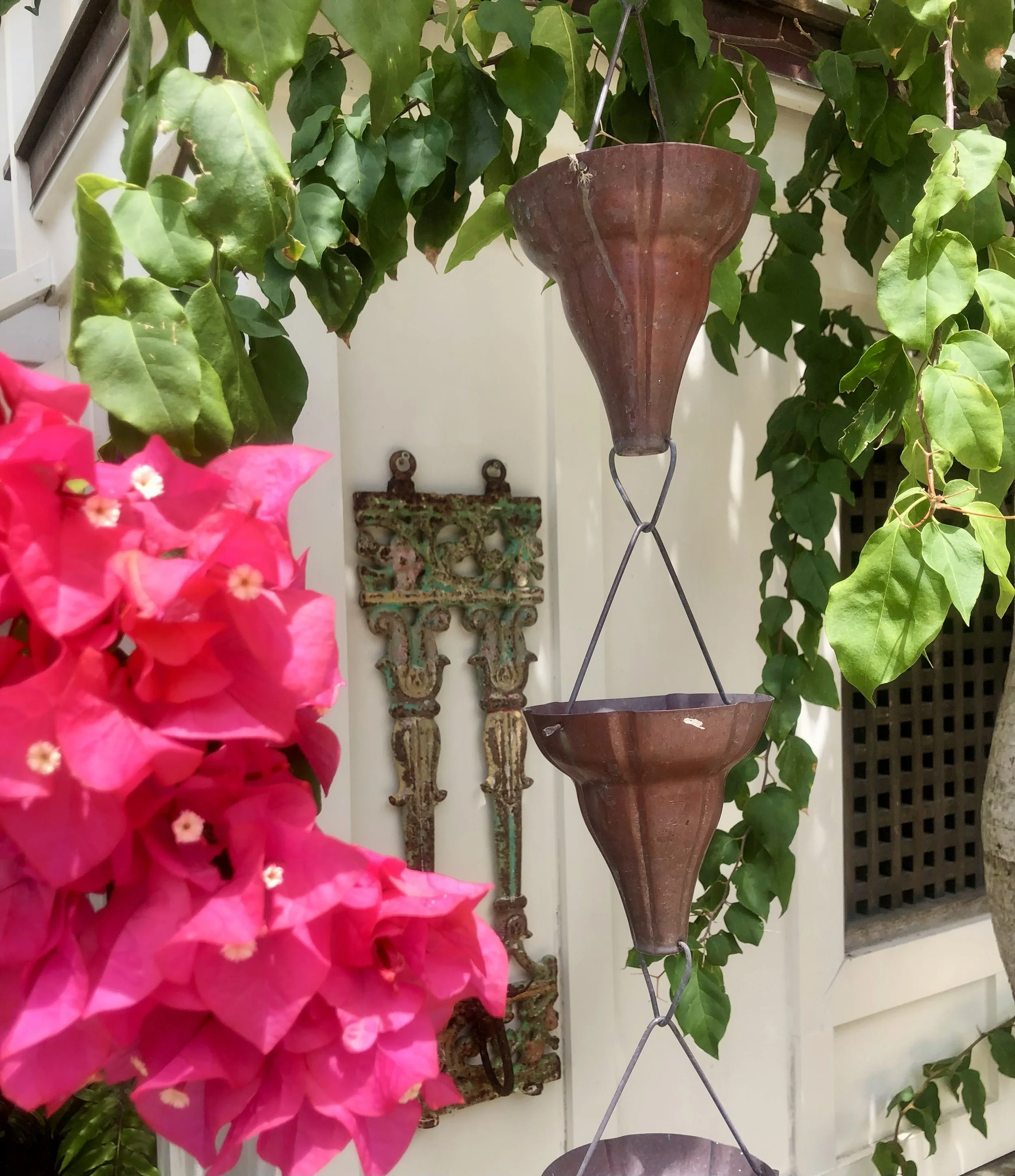 88Our Garden- bougainvillea.jpeg