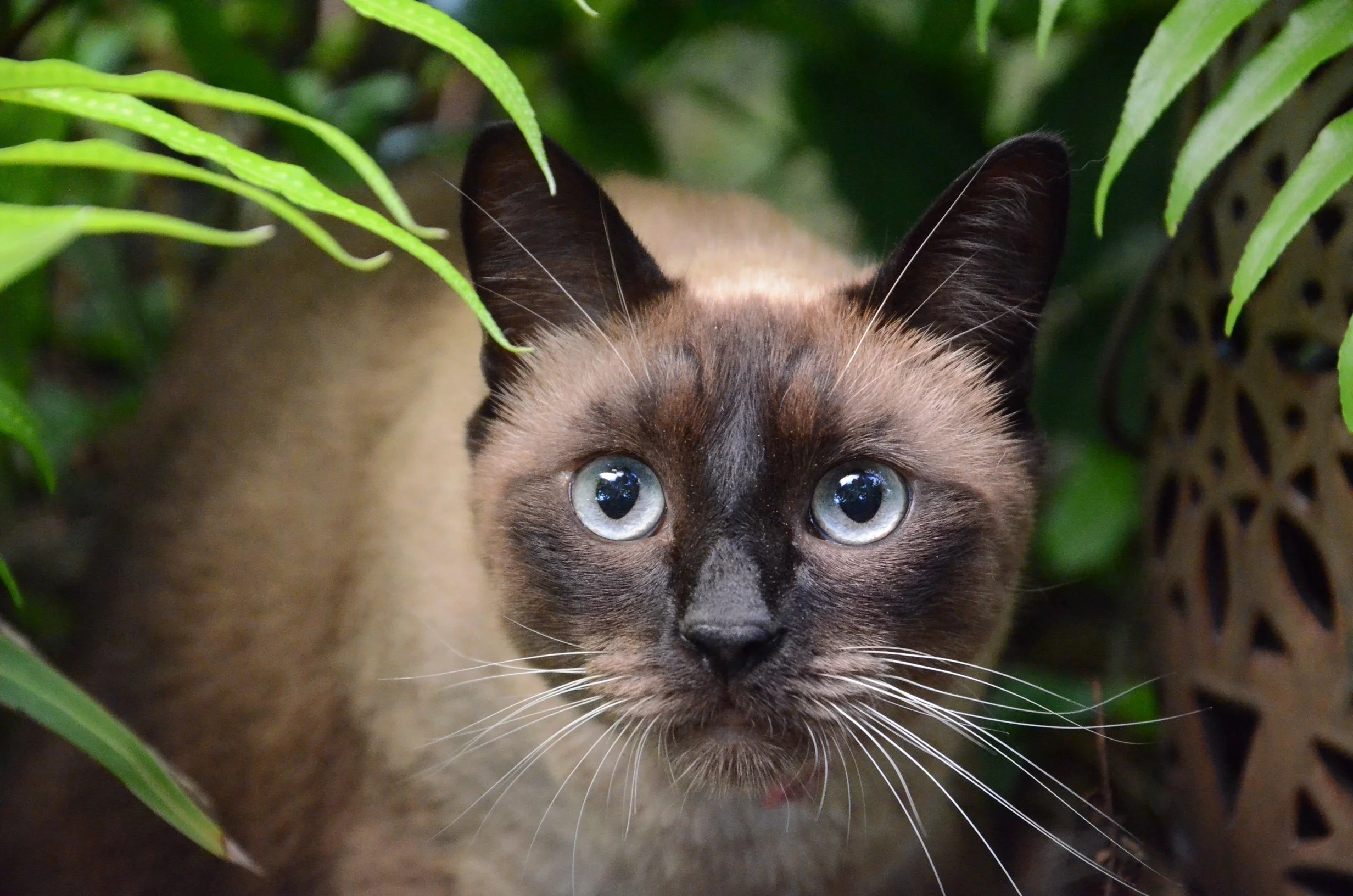 NZuribyAbby copy.JPG