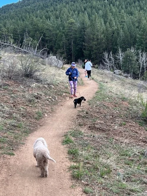 HMH Residents Hiking Trip 5-2024 2