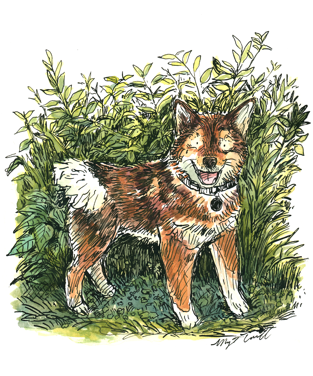 Theo Commission