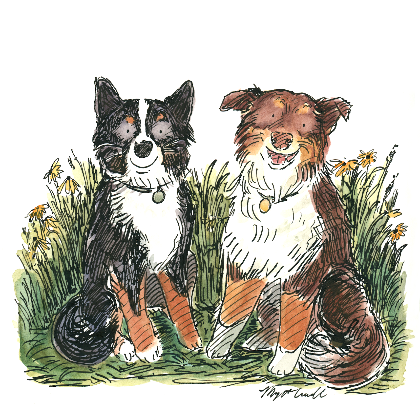Shyla & Red Commission