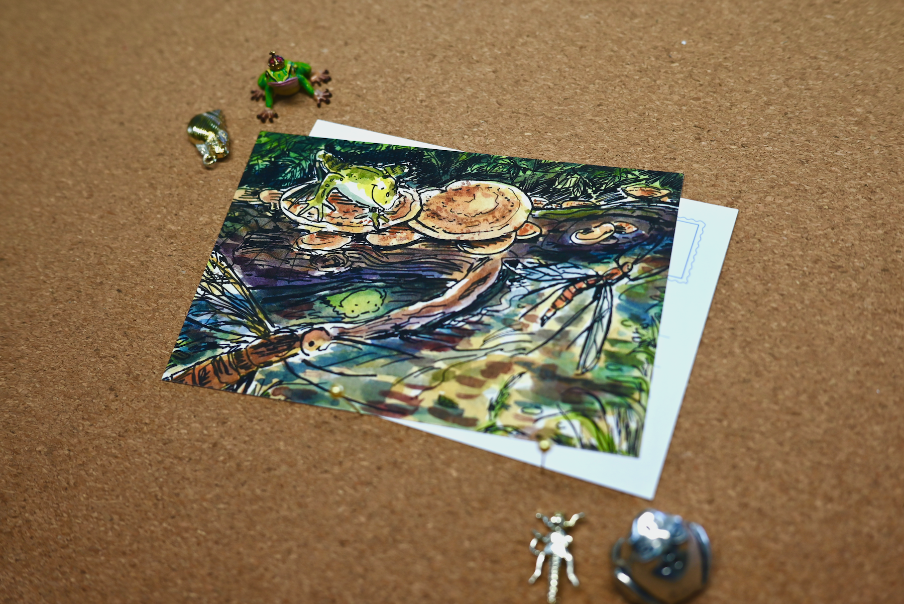 Frog's Reflection Postcard