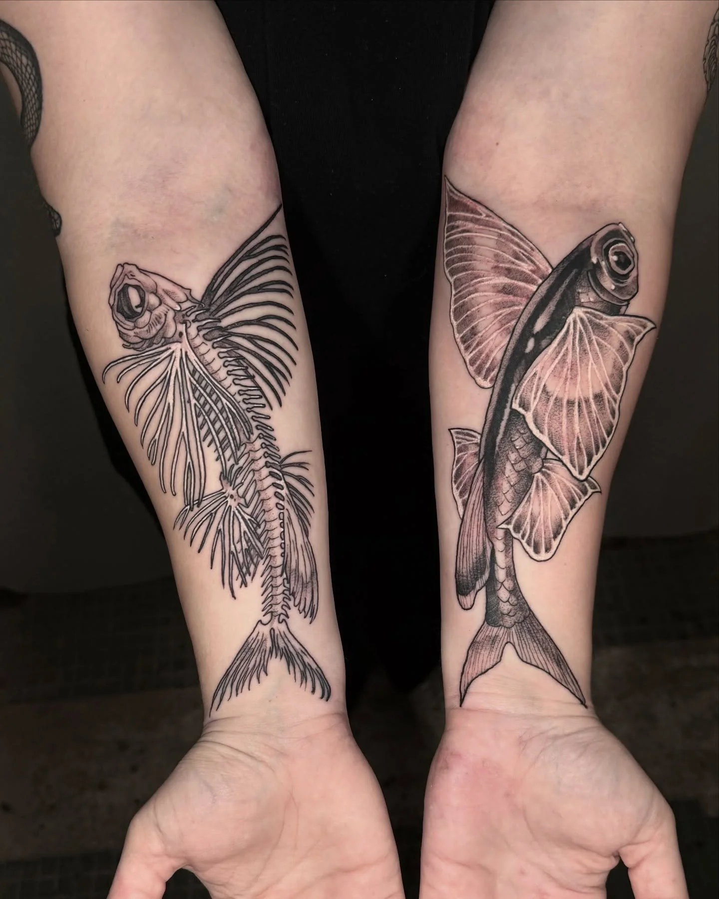 two sides of the same coin&mdash; sailfin flying fish 🐟 #mementomori #vanitas #flyingfish #fishtattoo #flyingfishtattoo #blackandgreytattoos #blackwork #skeleton