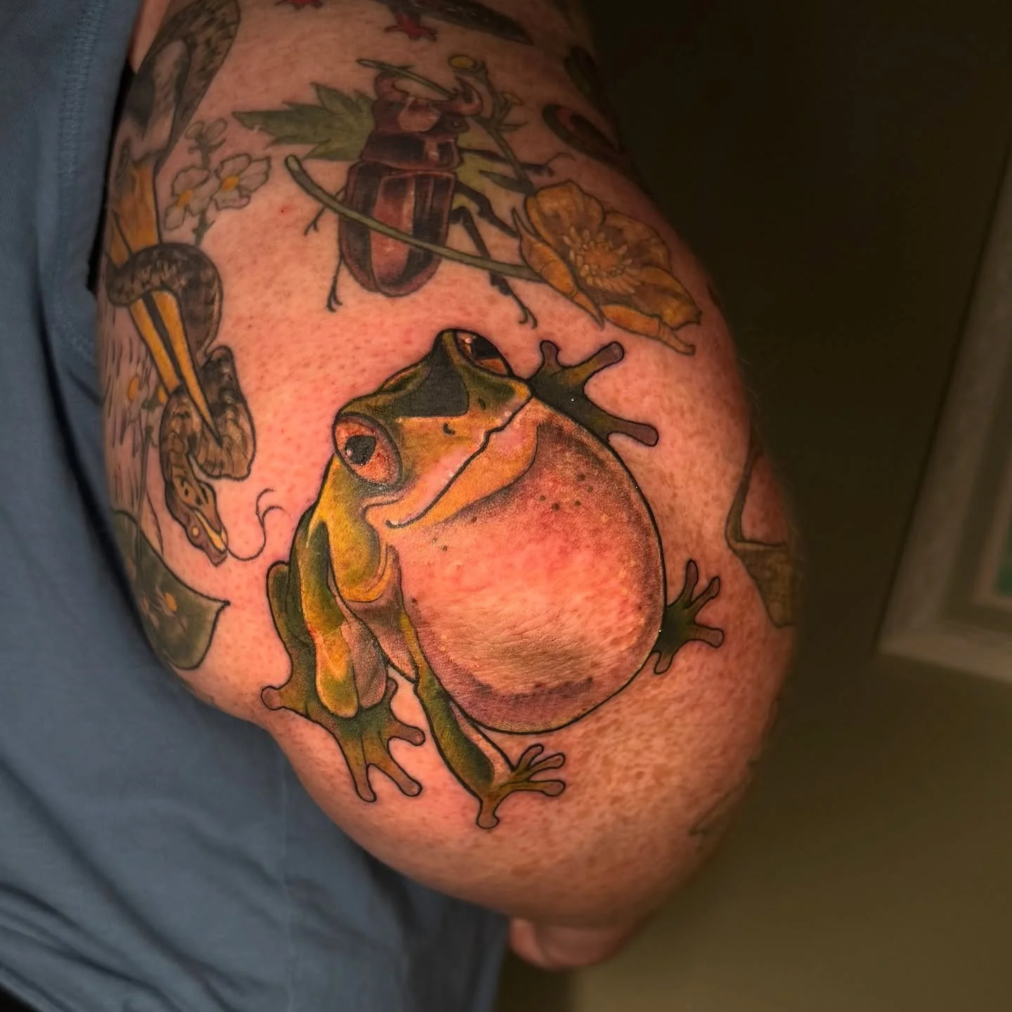 frog for tay&mdash; he has real ribbiting action :) #frog #elbowtattoo #frogtattoo #greentreefrog