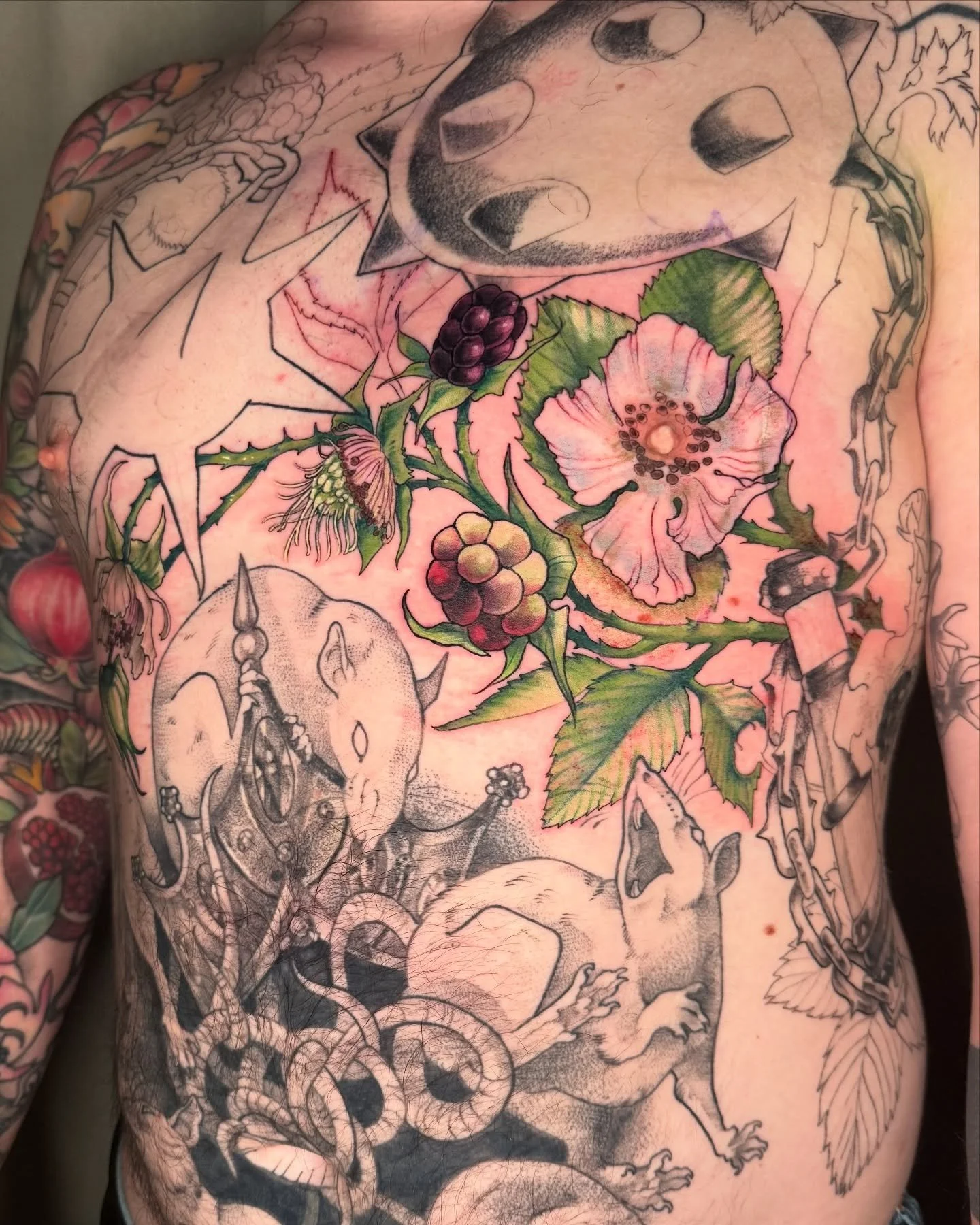 some blackberries for brian&rsquo;s chest! only the rest to go 🫶 sorry about the nipple flower, bud #blackberry #chestpiece #floraltattoo #berrytattoo