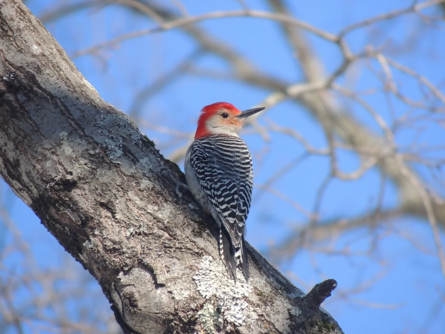 did you know today is a general strike? do you feel strongly about ICE? call your representatives. call your mayor, your senators, house of representatives, your congressional district representative&mdash; make your voice known. pay cash. support im