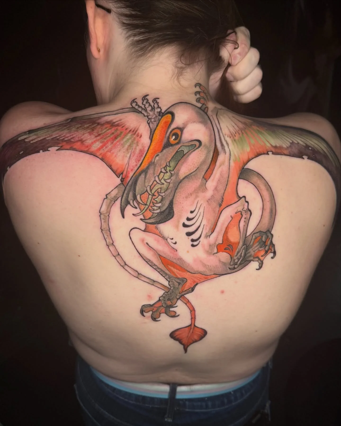 rhamphorhynchus for marle! i want to do more pterosaurs where people get bats and moths, traditionally. i would also not be mad about doing things like archeopteryx instead. just more extinct winged critters, really! especially because i looked up so