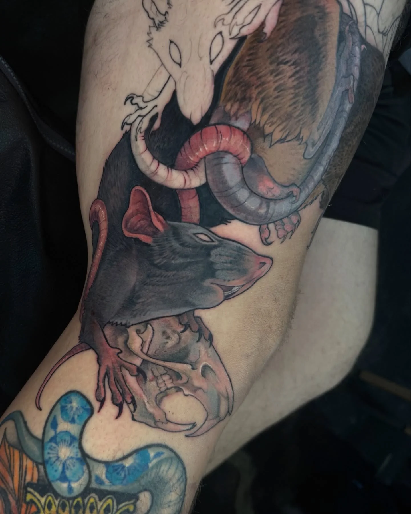 i king my rats just like anyone else&mdash; one rat at a time 🥰 progress on this big rat king thigh for richard! #ratking #rattoo #illustrativetattoo