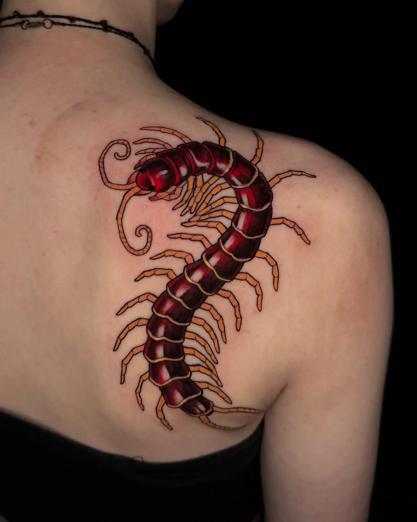 one of my last tattoos from pre-surgery! a little centipede for frank, who saved my bacon by booking a super last minute cancellation AND told me about how their store refuses to sell english ivy &amp; other invasives. i immediately bought stuff to f