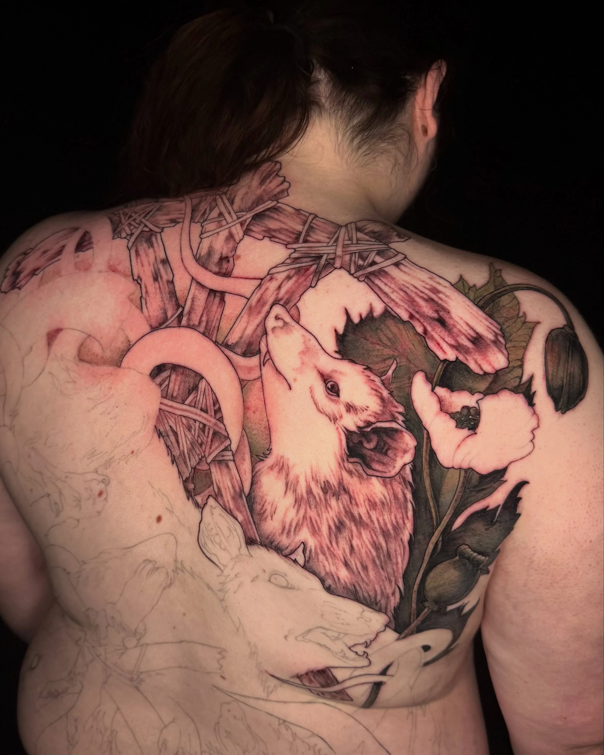 i don&rsquo;t know how many opossums i&rsquo;ve done this year, no 

kw: backpiece tattoo opossum king poppy illustrative qttr