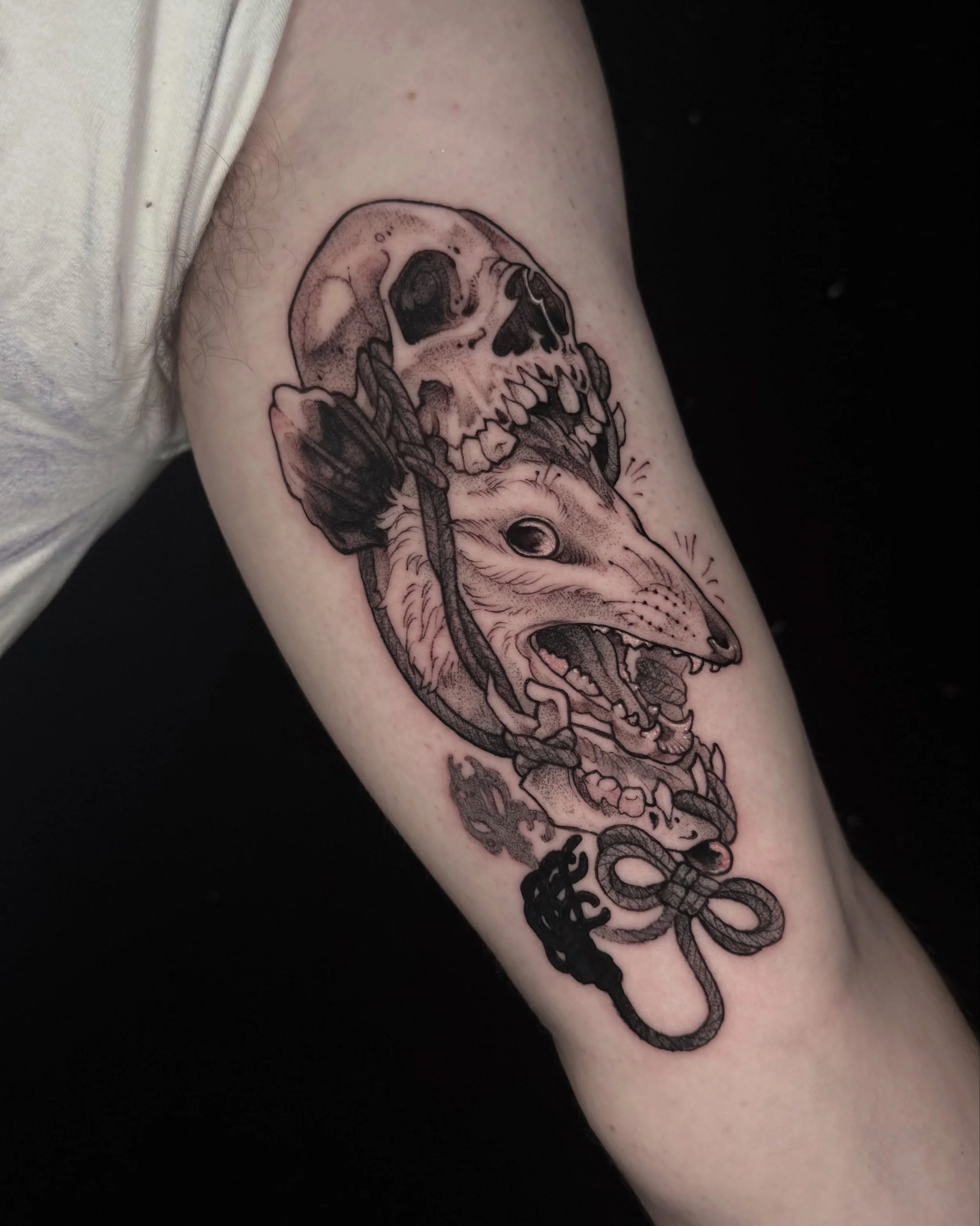 opossum &amp; skull for adam :) just had surgery on my hand so captions are a lot to type rn. but i enjoyed doing this one a lot! 

kw: opossum skull black and grey tattoo qttr arm bicep